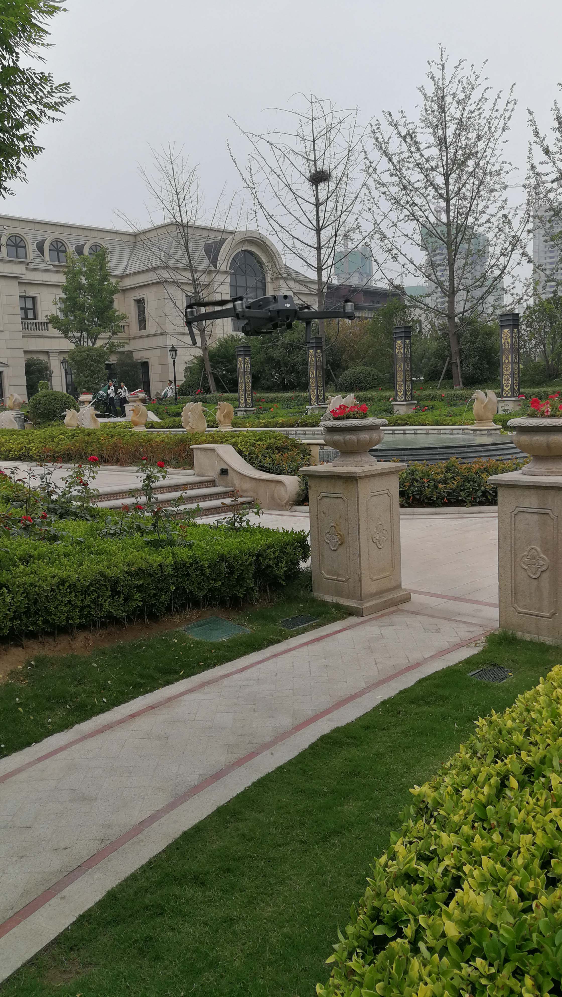 滚球买球的app官网