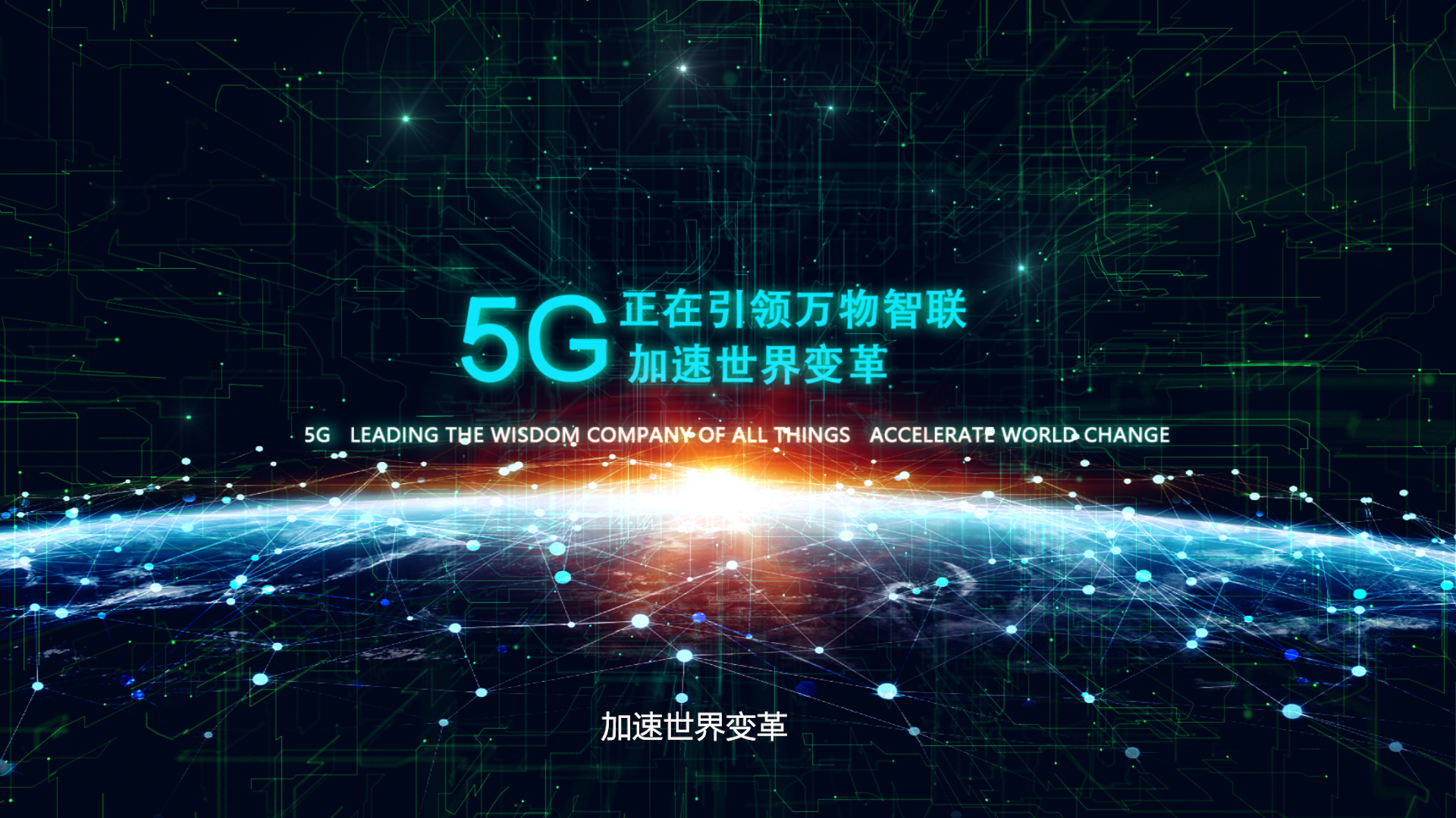 滚球买球的app官网