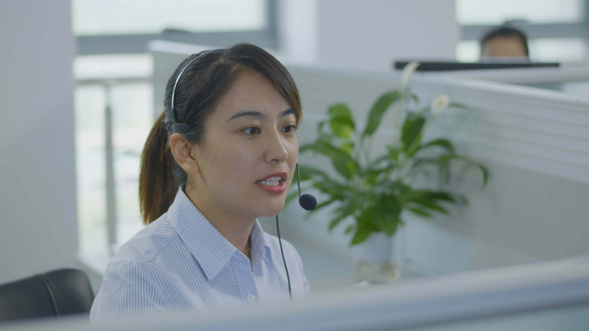 滚球买球的app官网