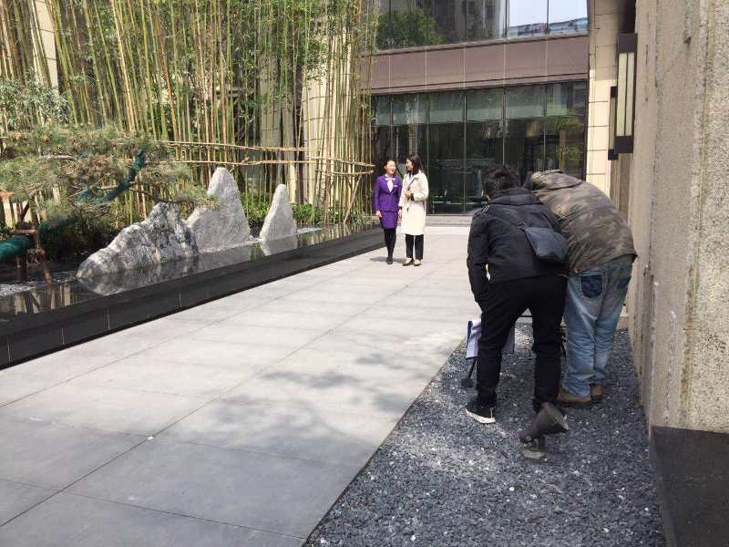 滚球买球的app官网