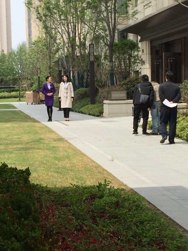 滚球买球的app官网