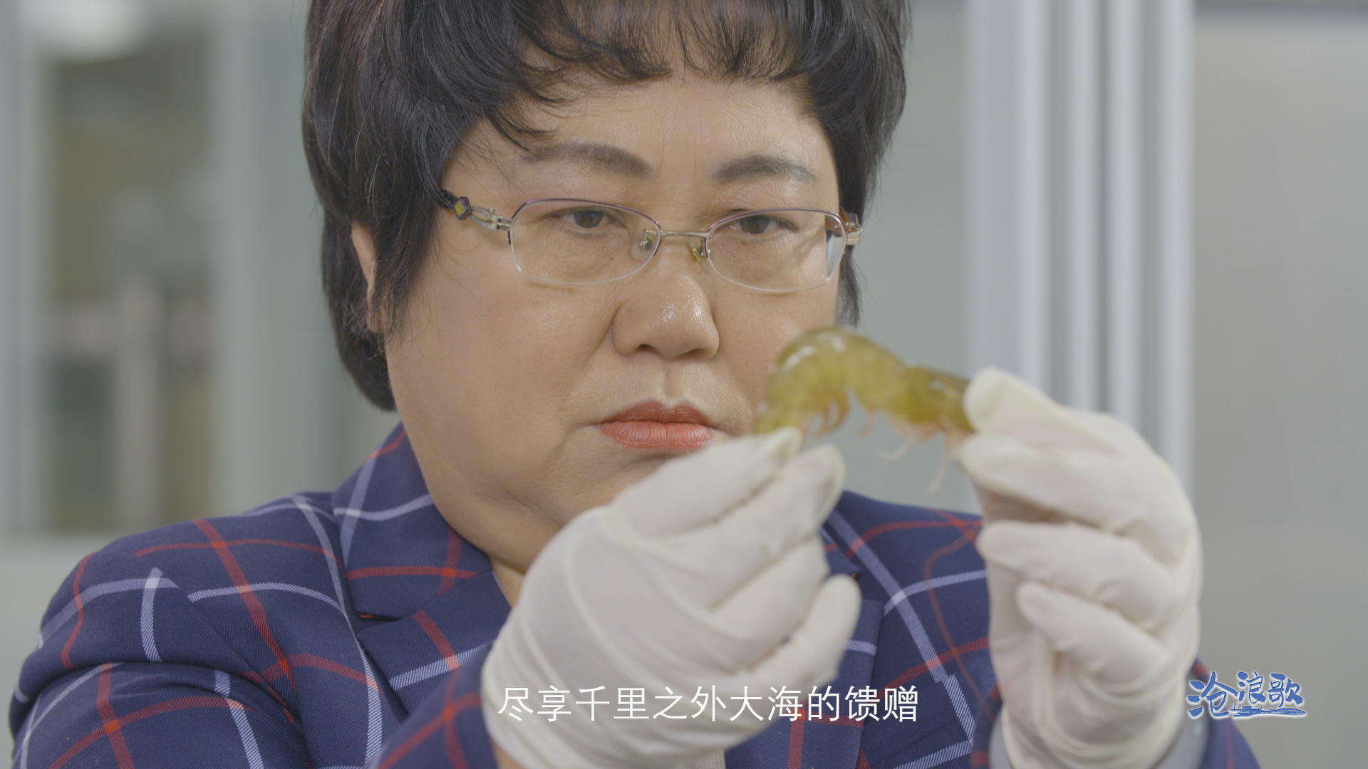 滚球买球的app官网