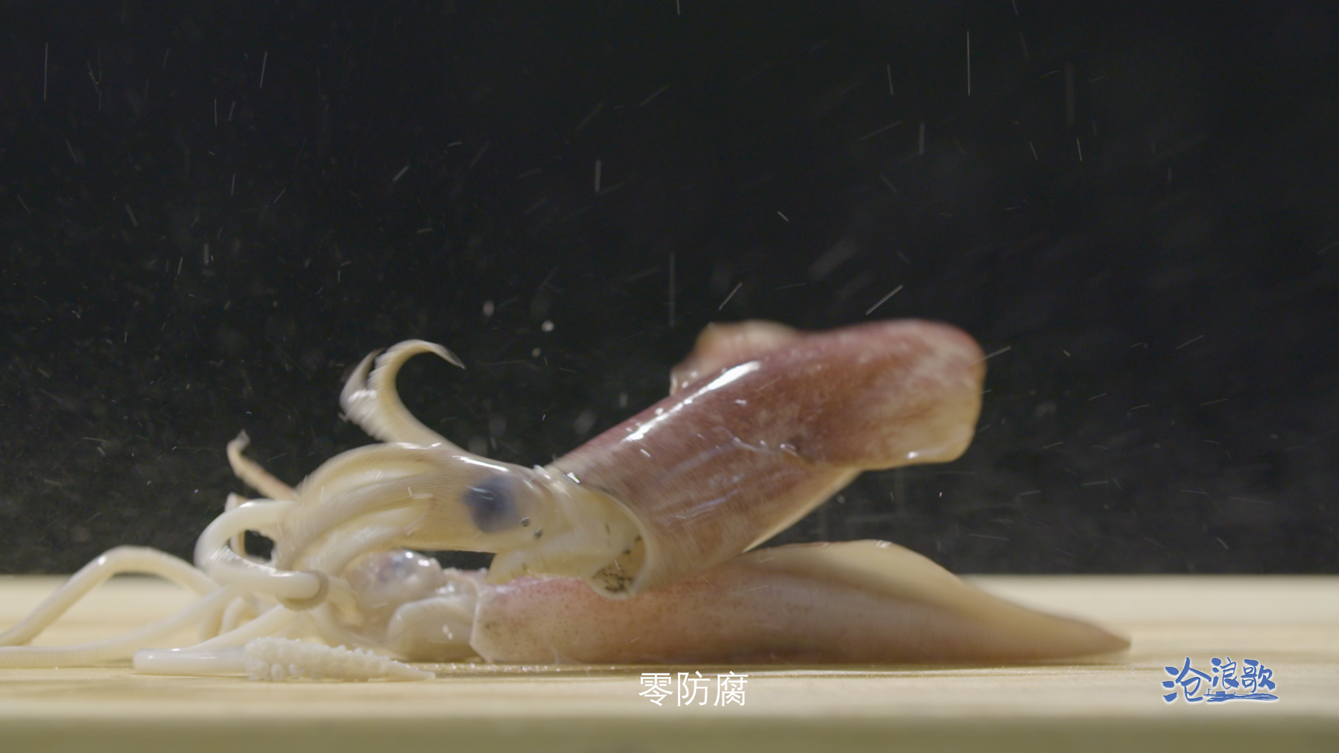 滚球买球的app官网