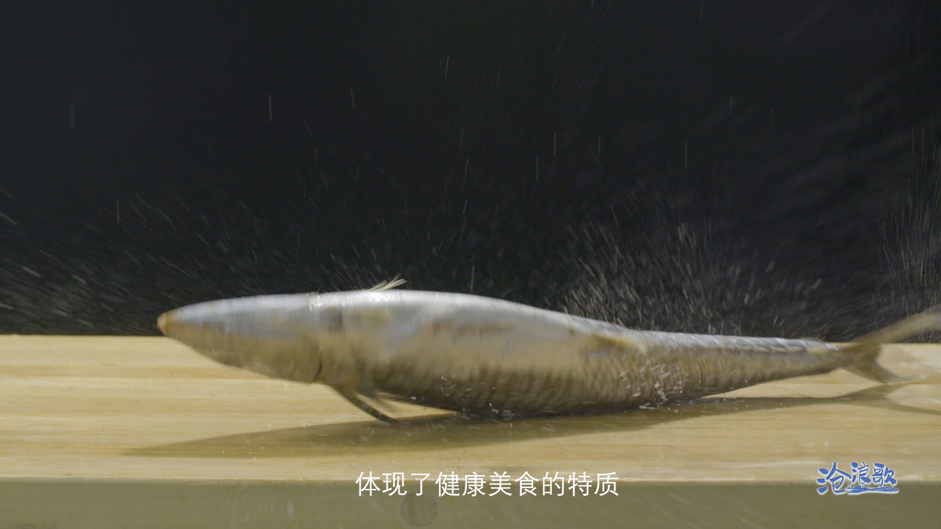 滚球买球的app官网