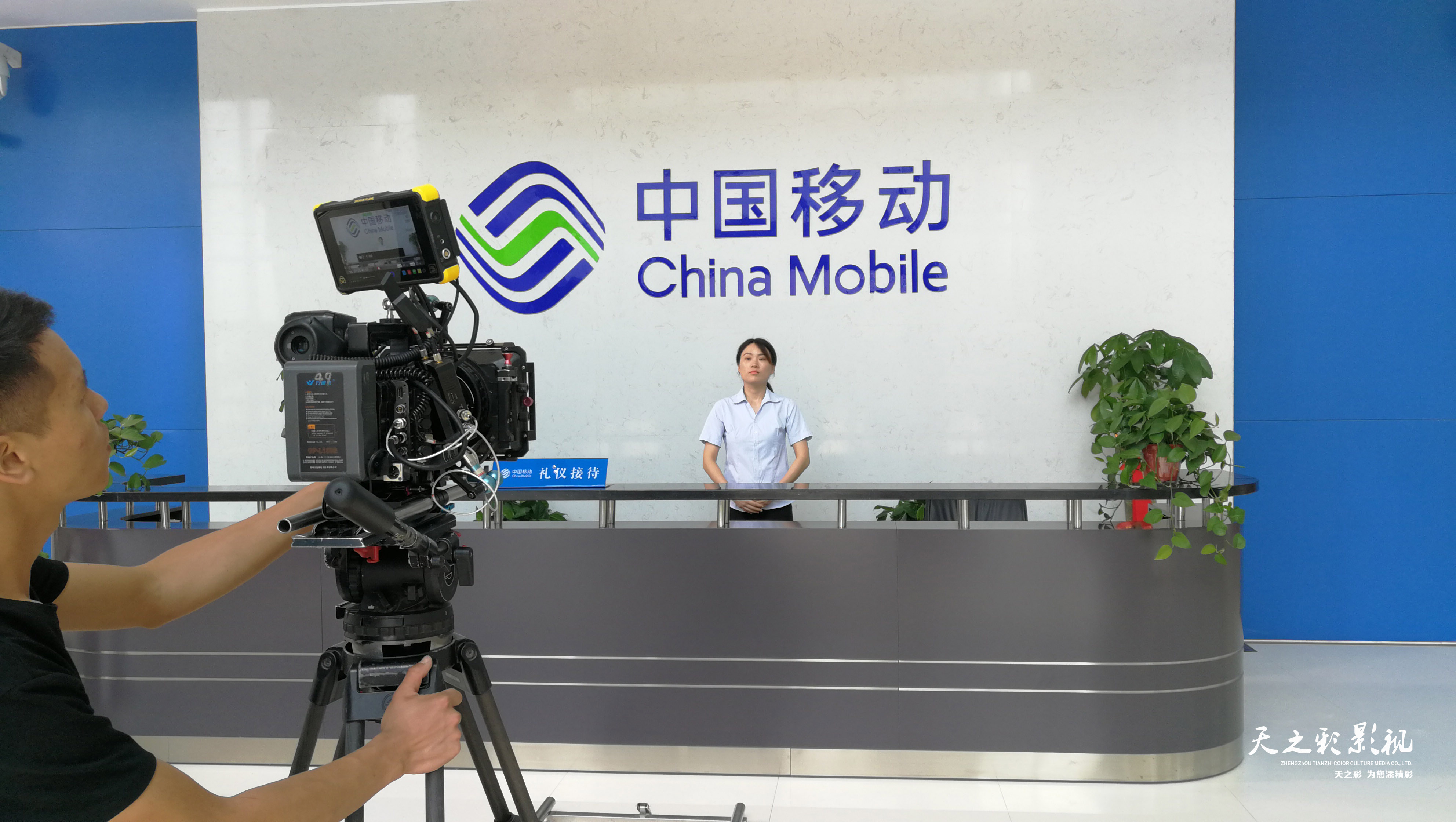 滚球买球的app官网