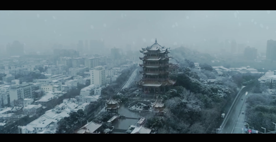 滚球买球的app官网