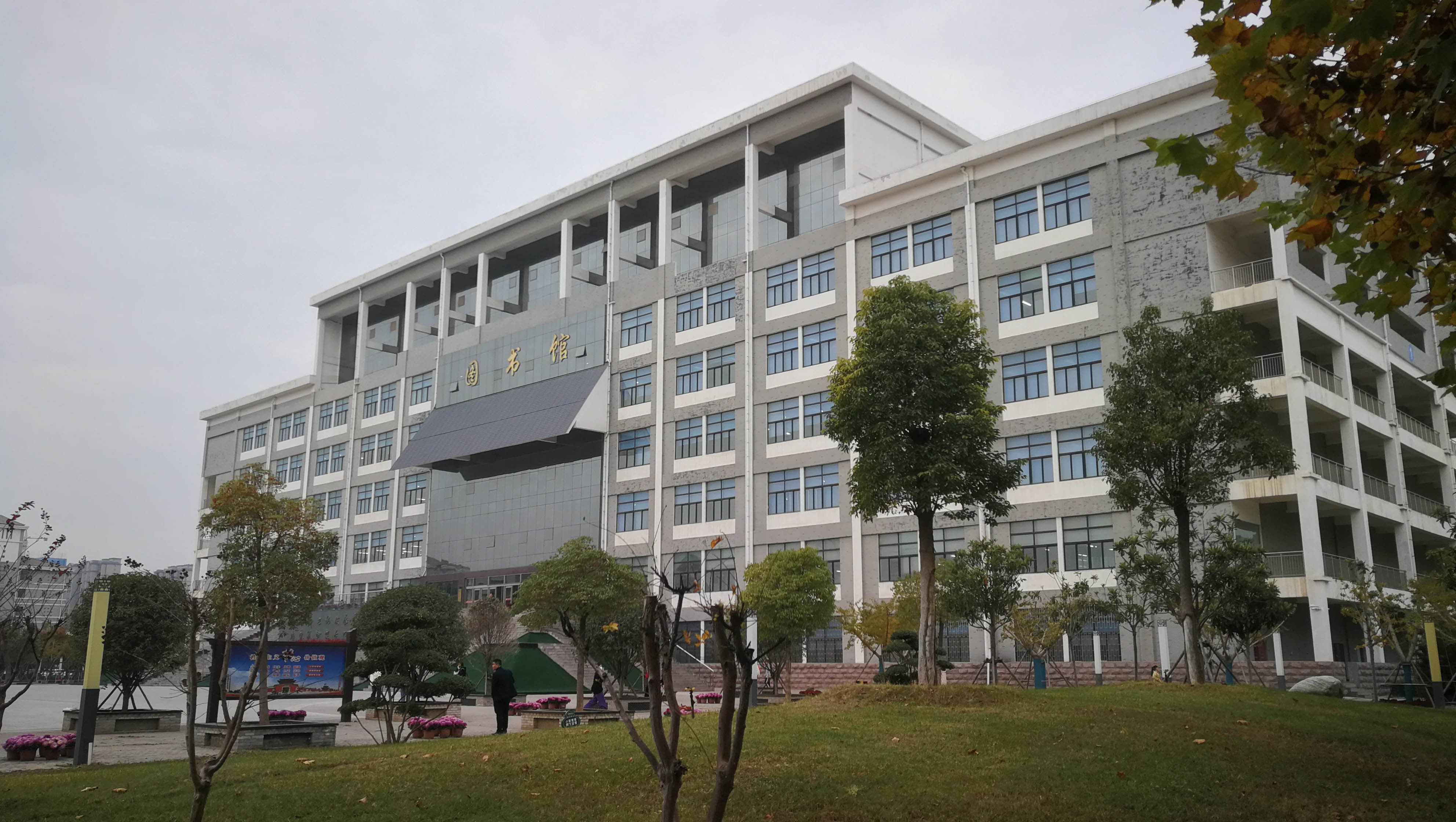 滚球买球的app官网