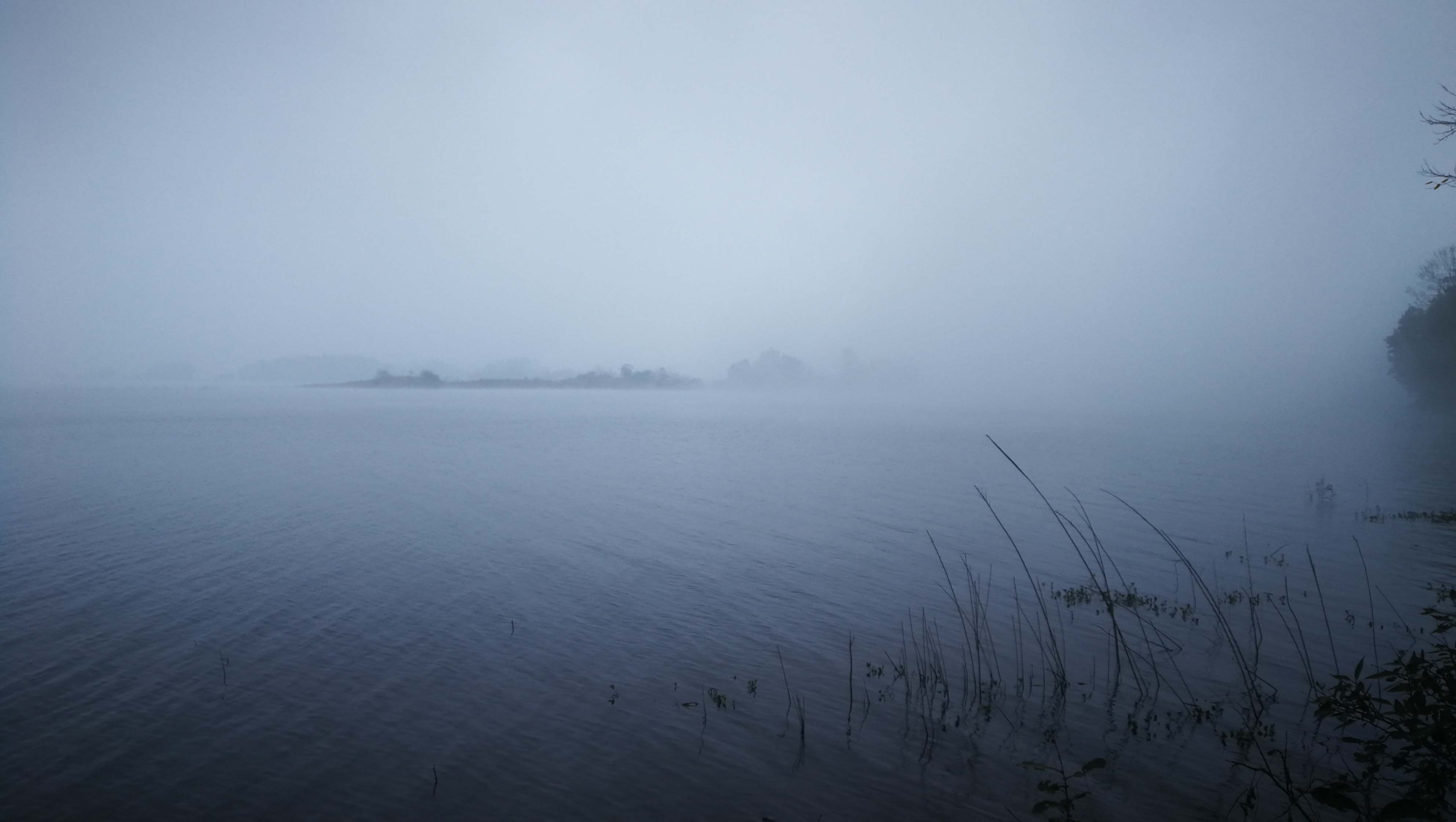 滚球买球的app官网