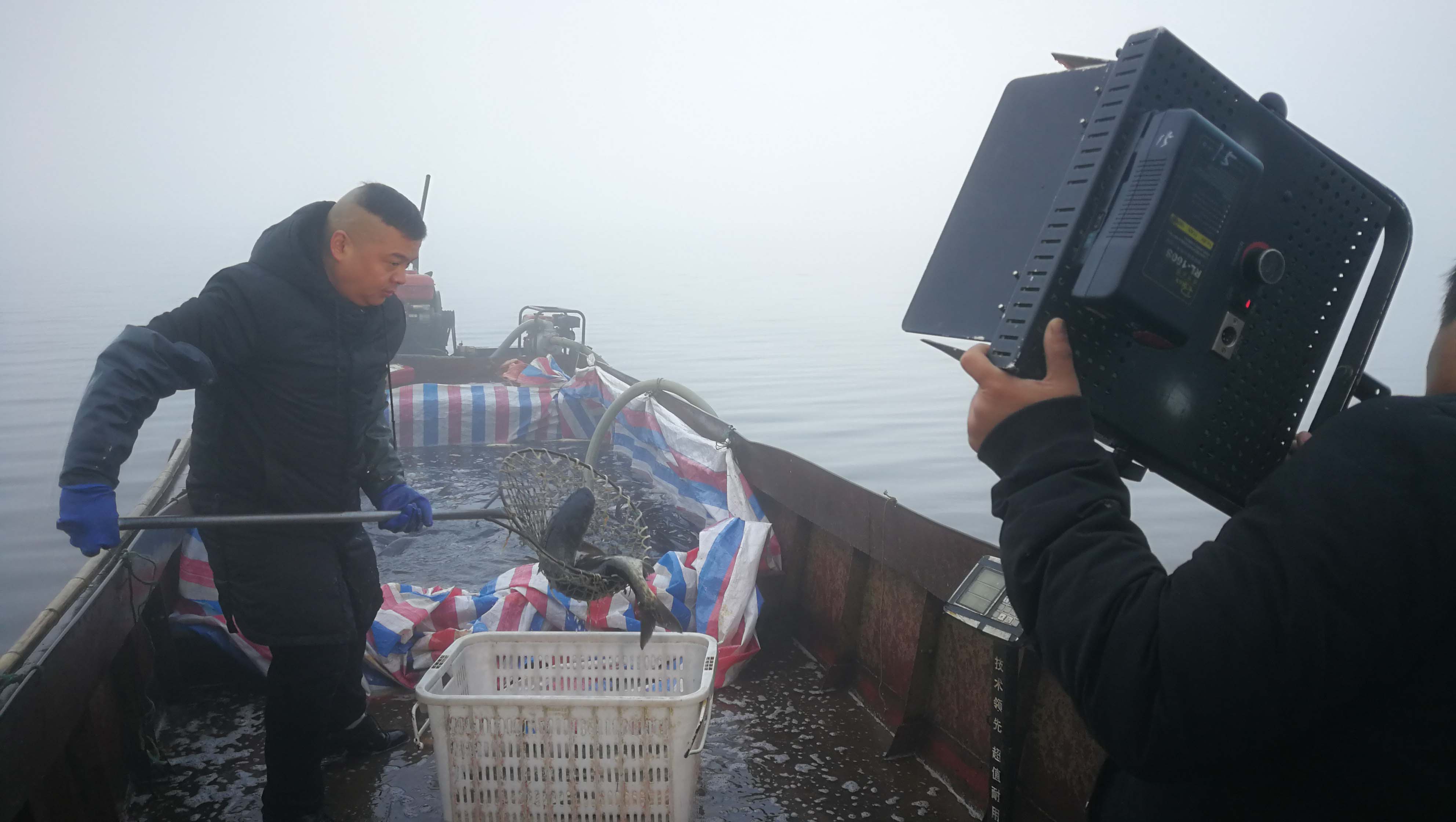 滚球买球的app官网