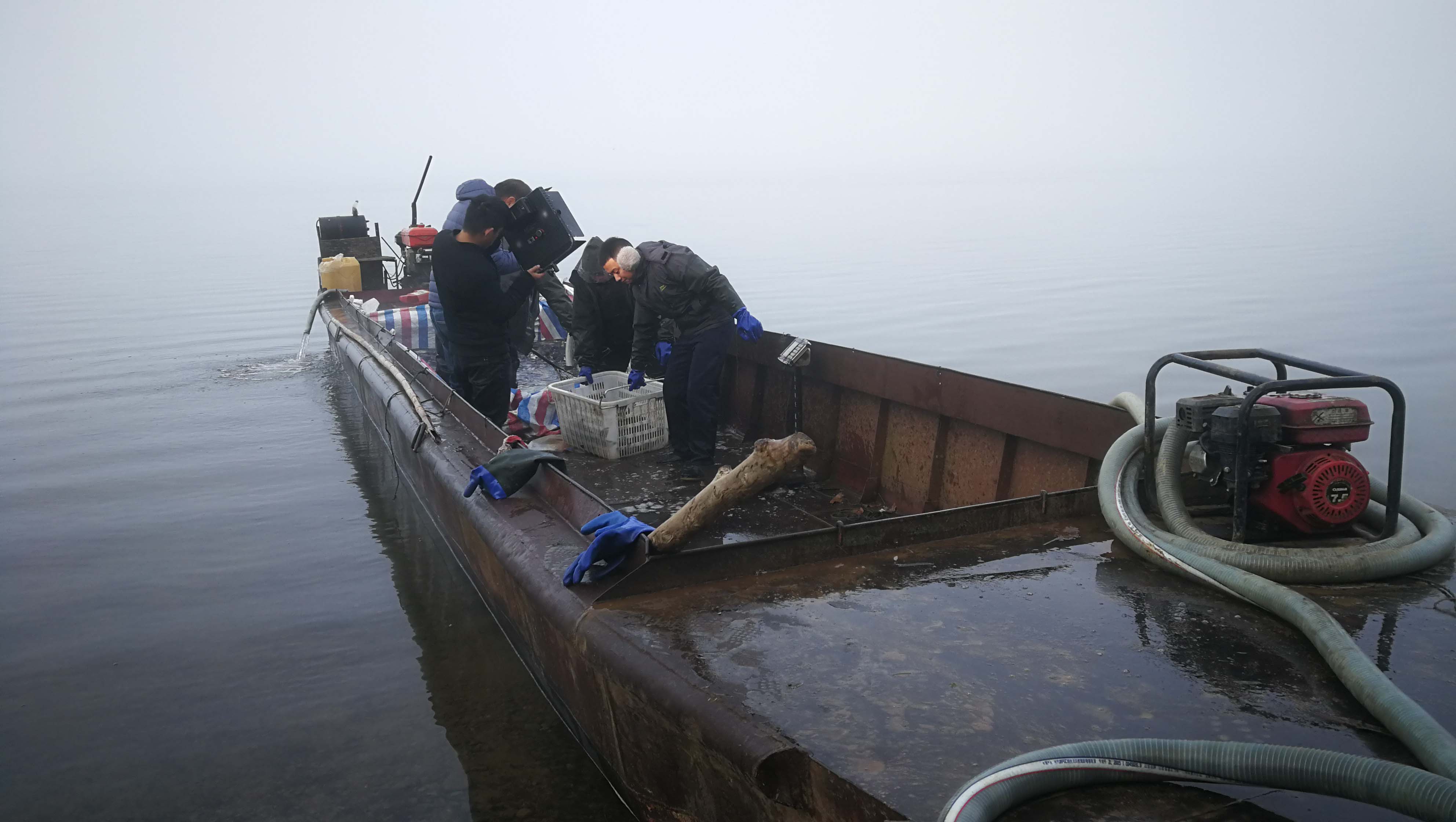 滚球买球的app官网