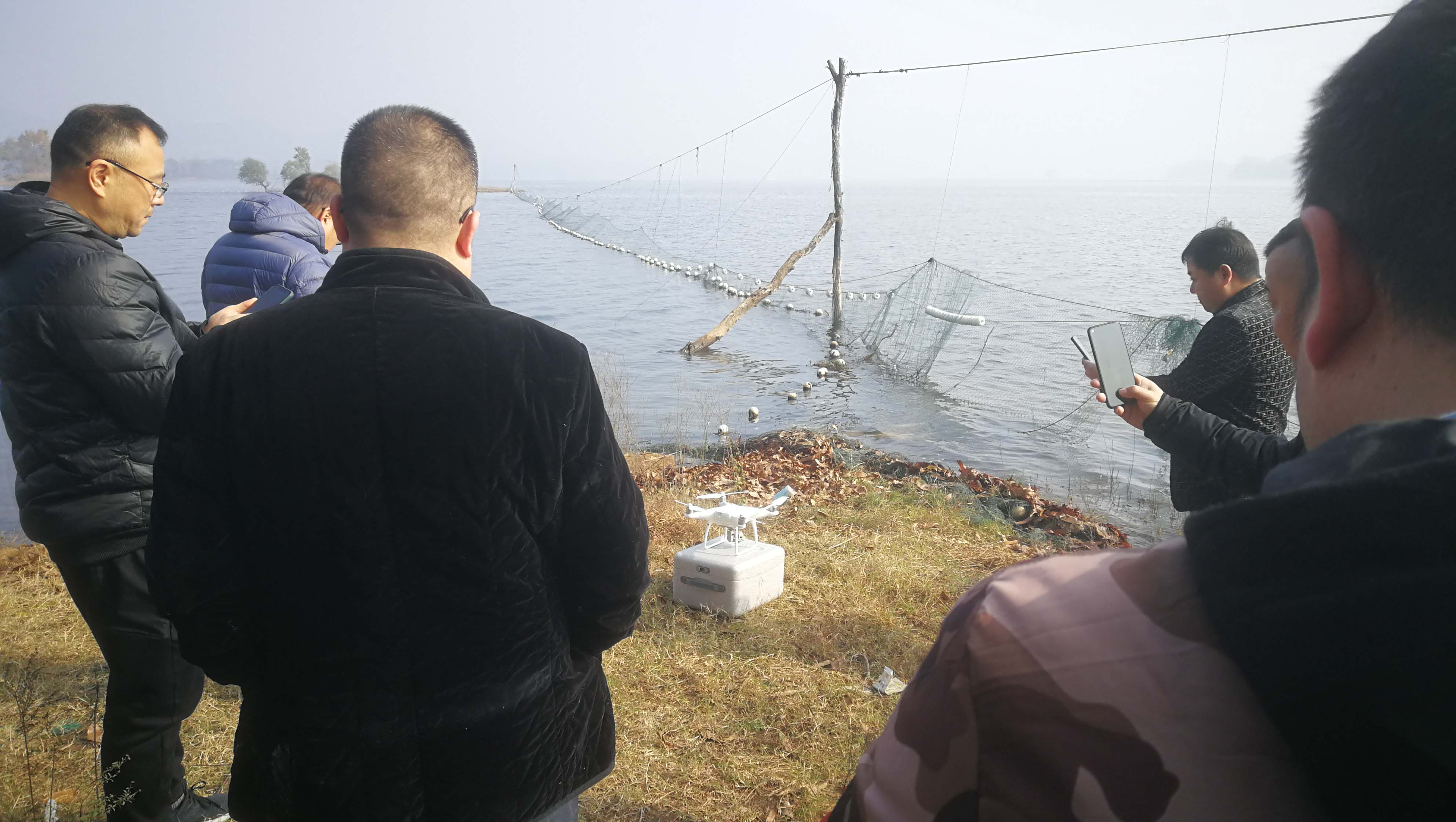 滚球买球的app官网