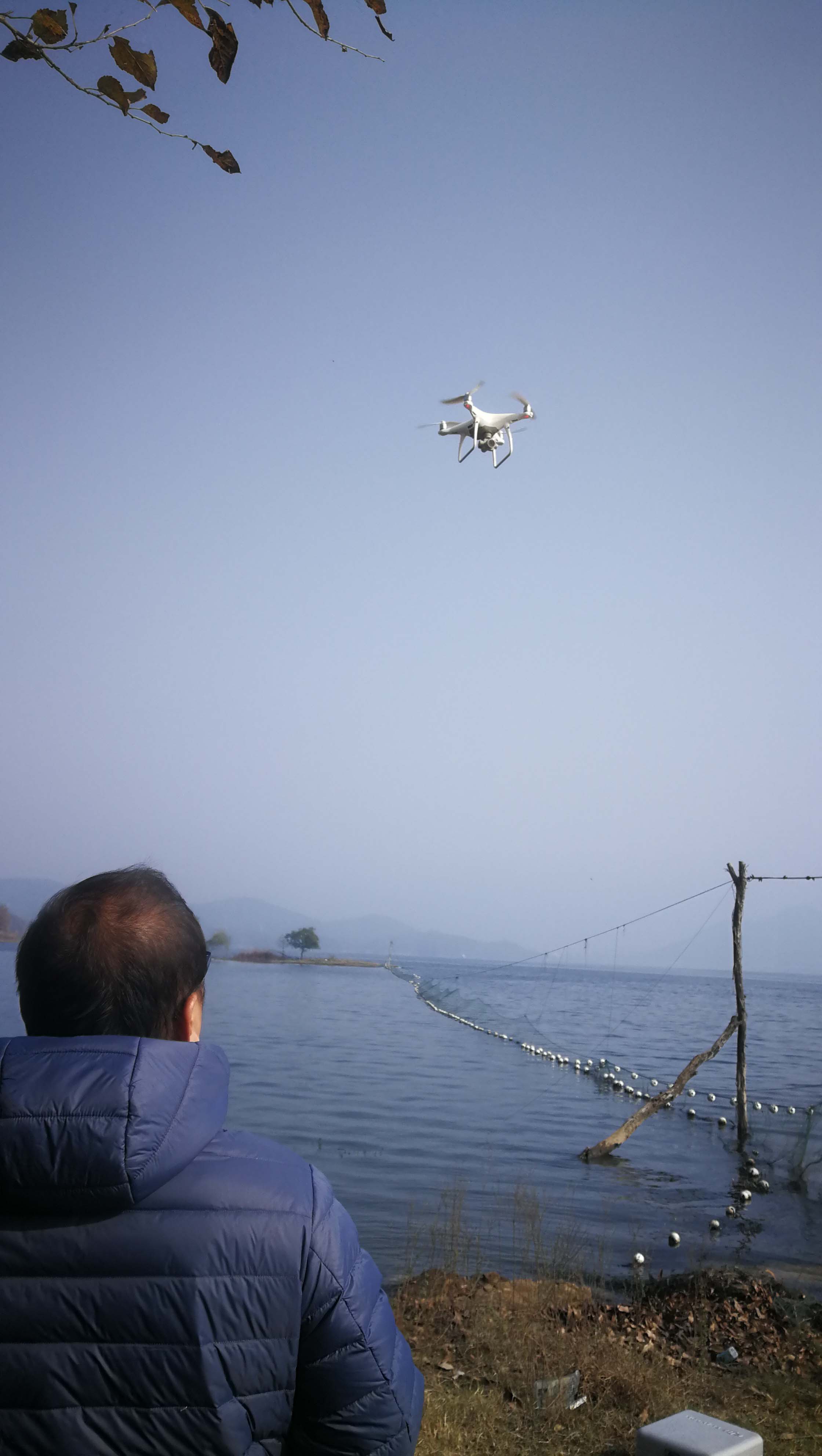 滚球买球的app官网