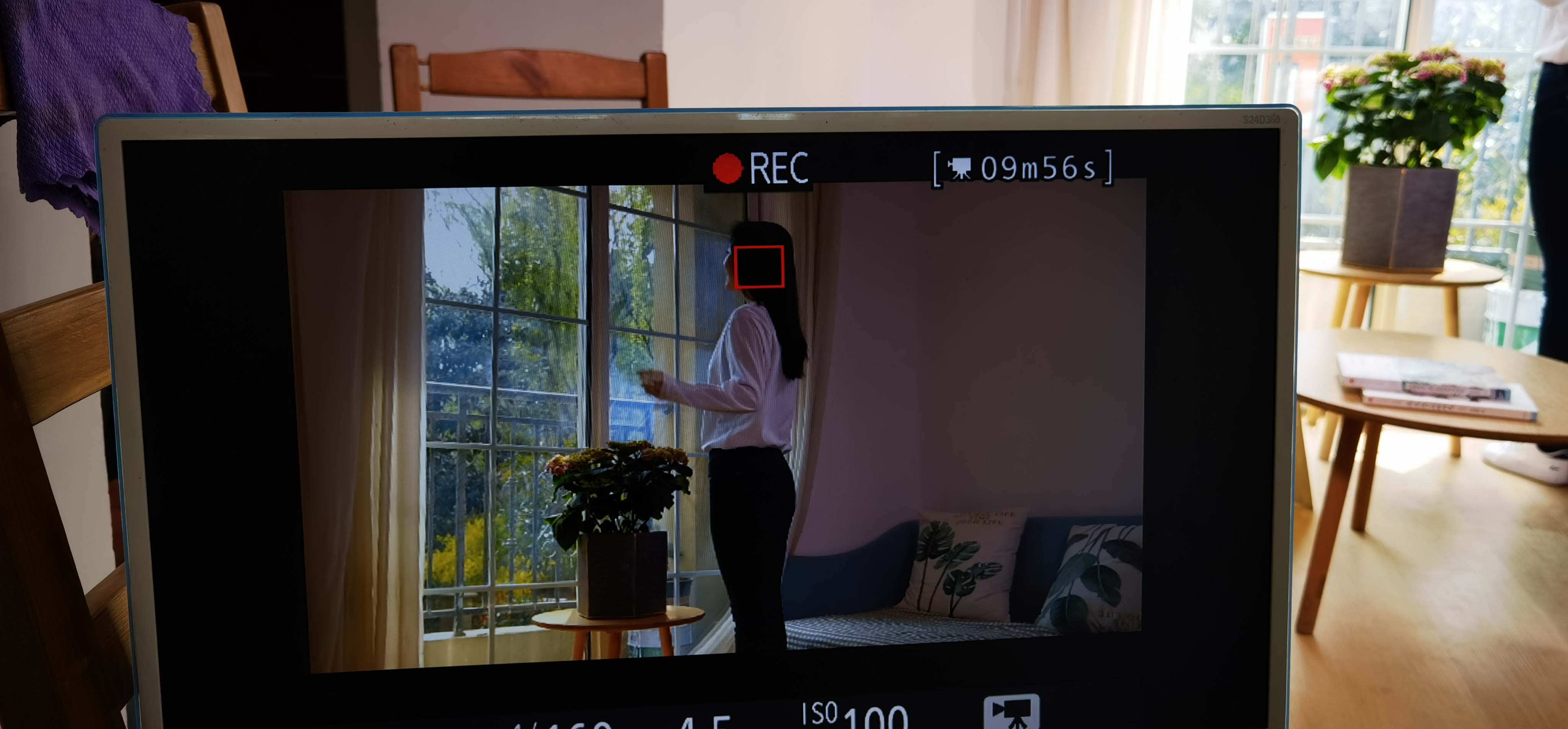 滚球买球的app官网