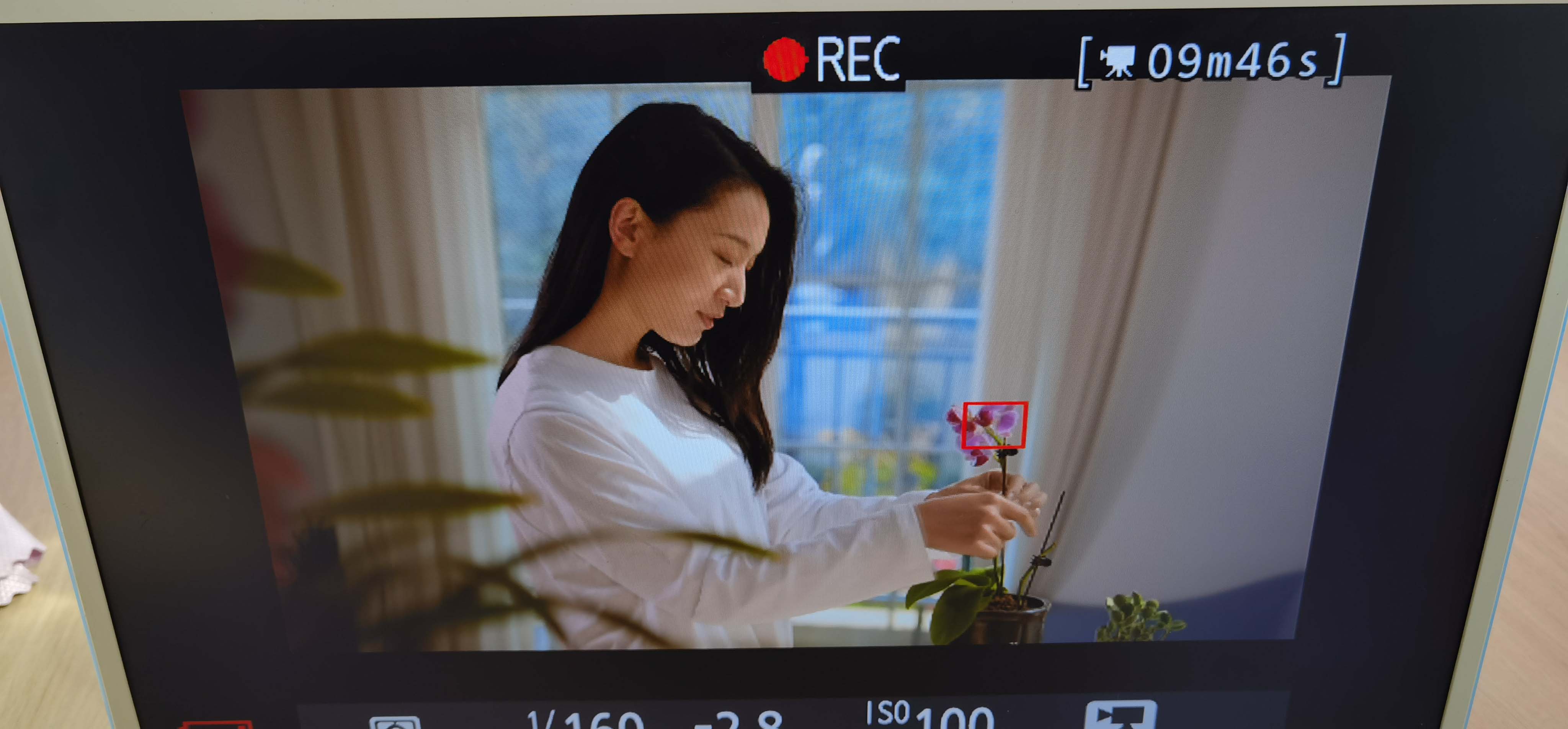 滚球买球的app官网