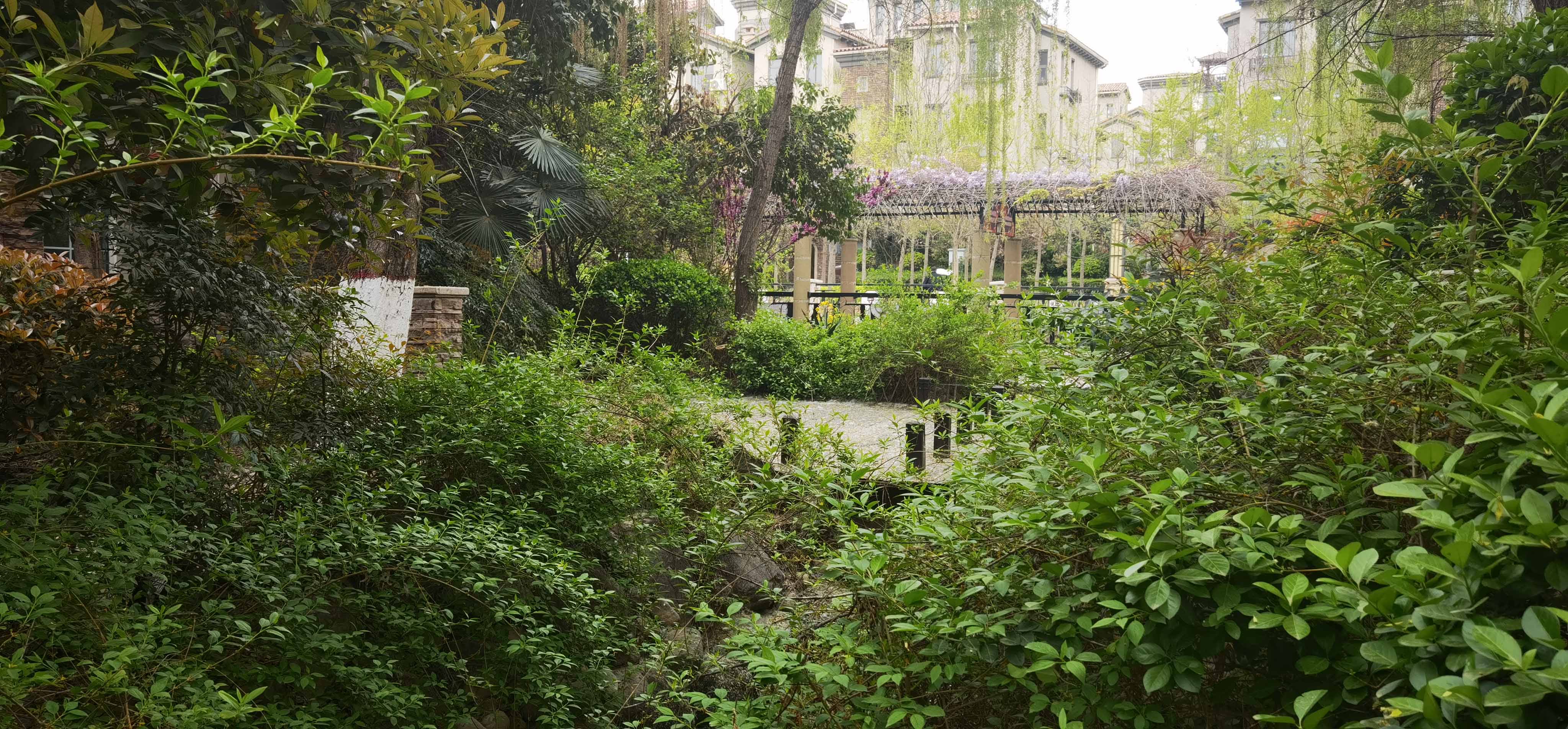 滚球买球的app官网