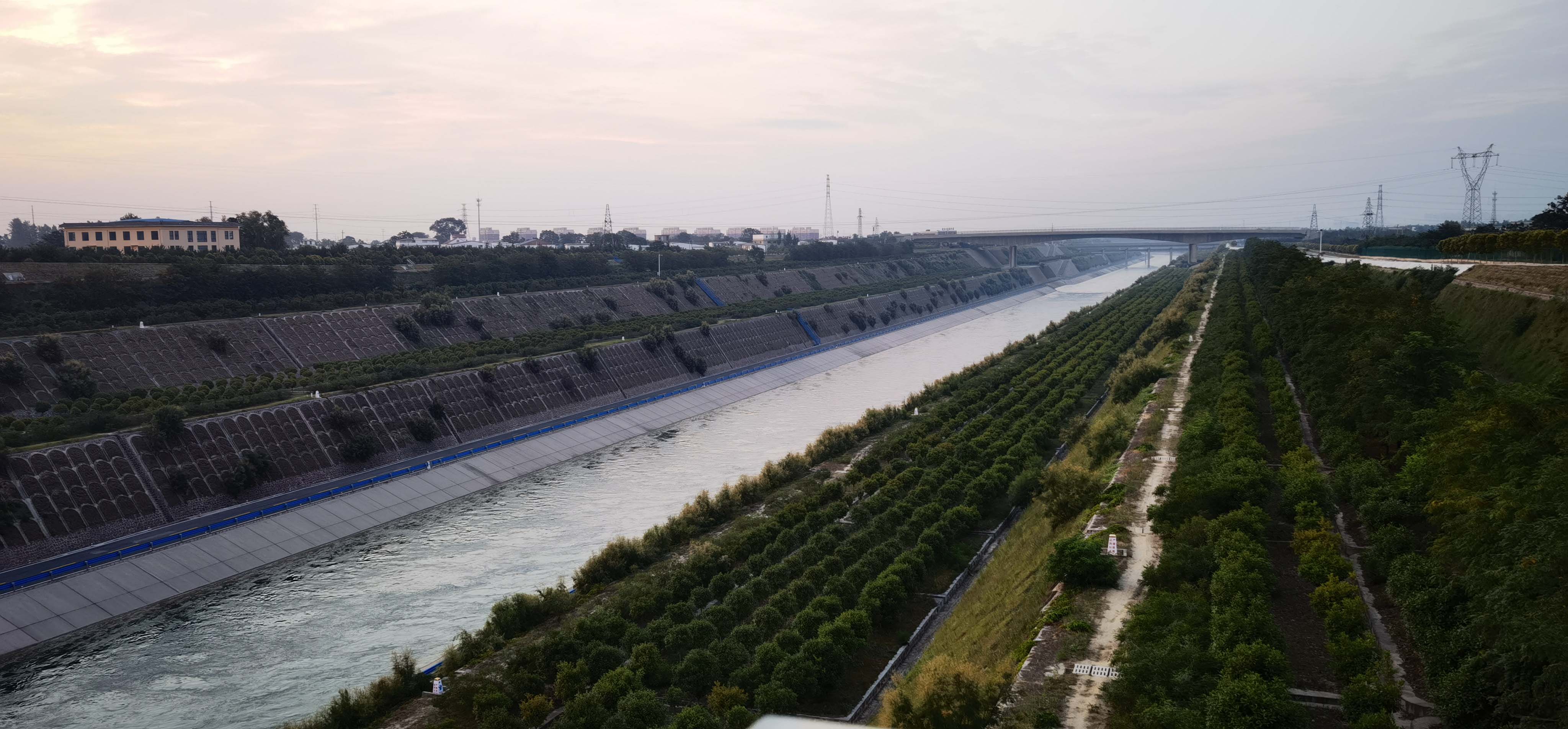 滚球买球的app官网