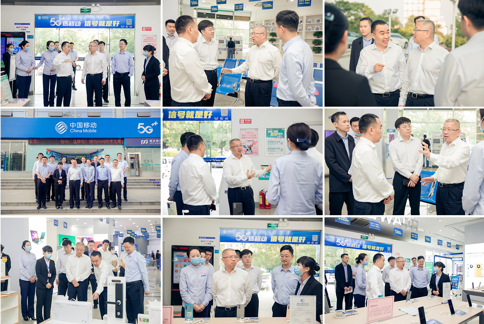 滚球买球的app官网