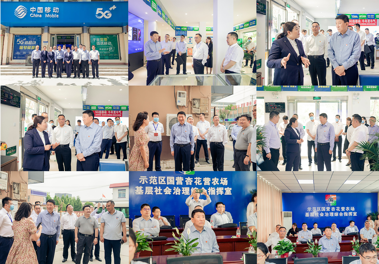 滚球买球的app官网