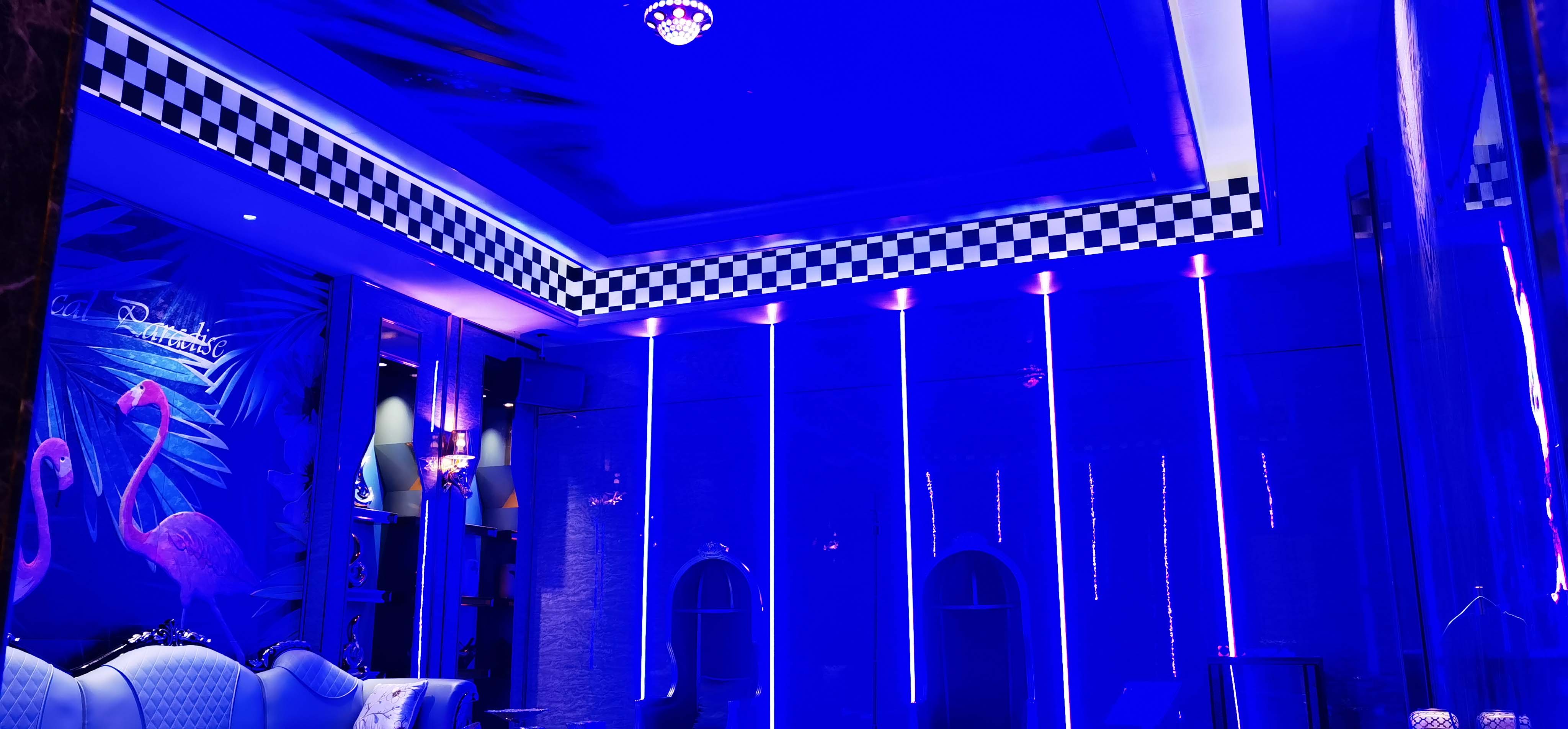 滚球买球的app官网