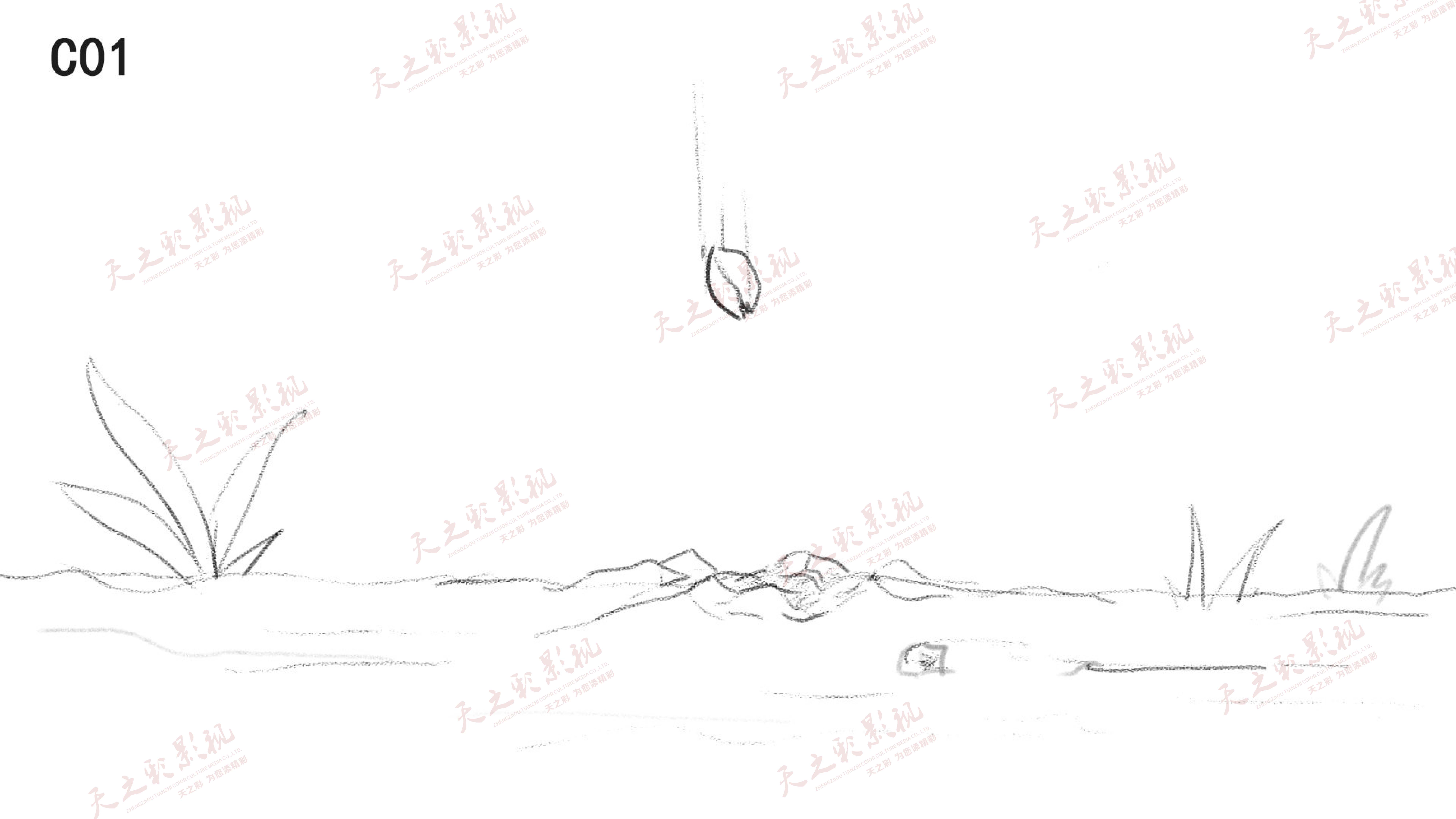 滚球买球的app官网