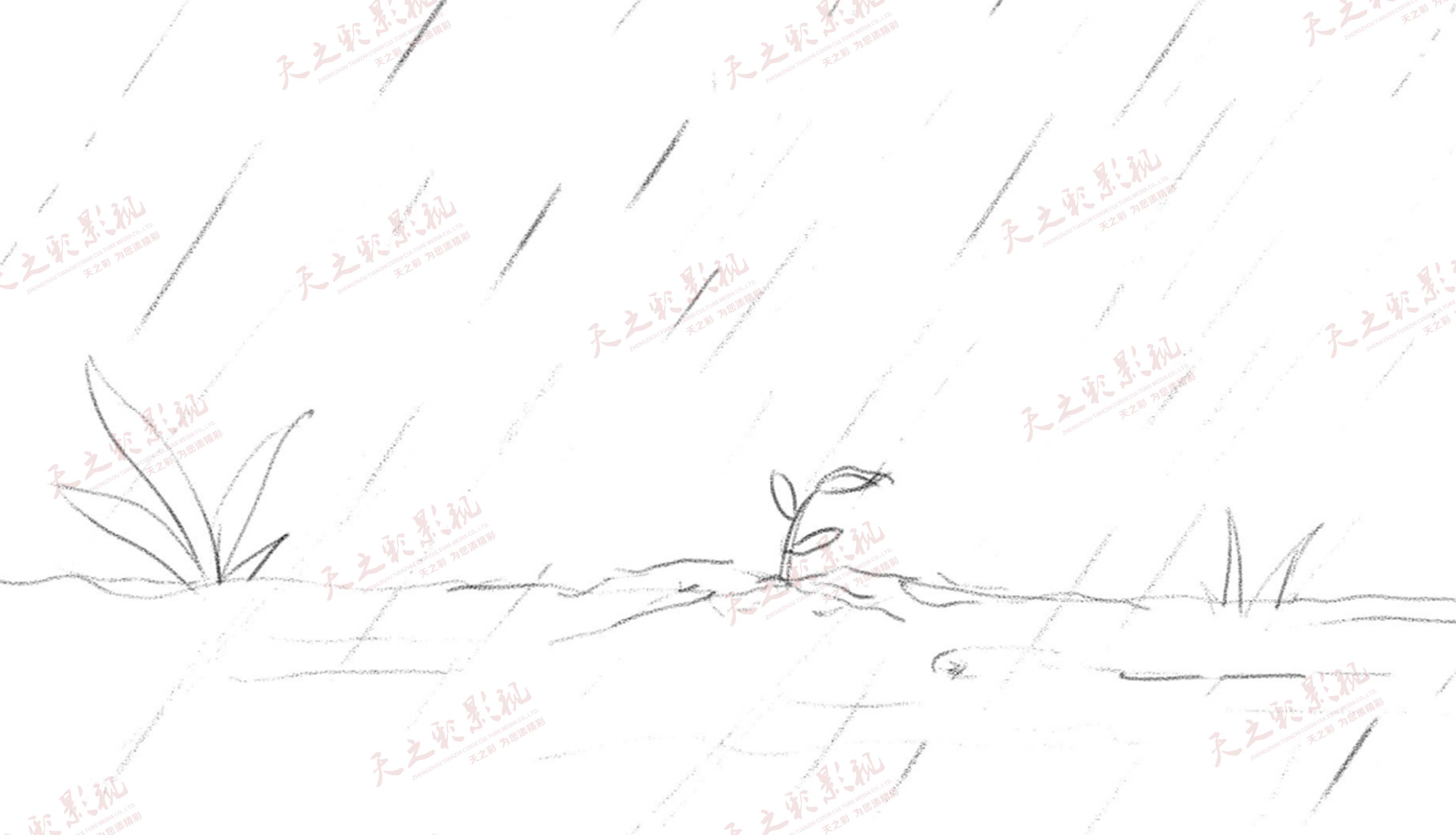 滚球买球的app官网