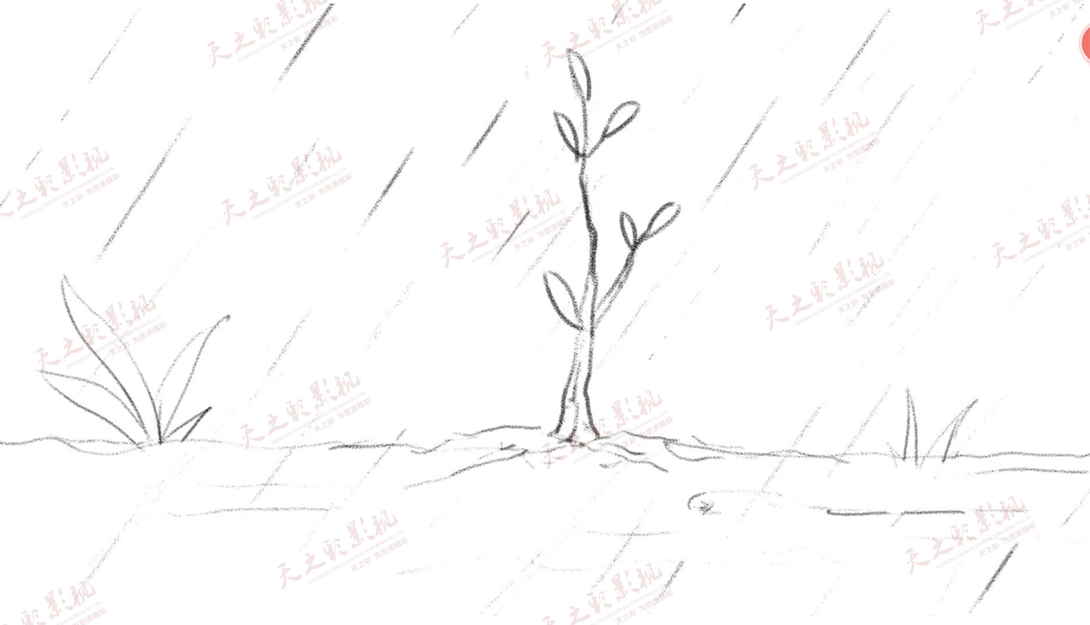 滚球买球的app官网