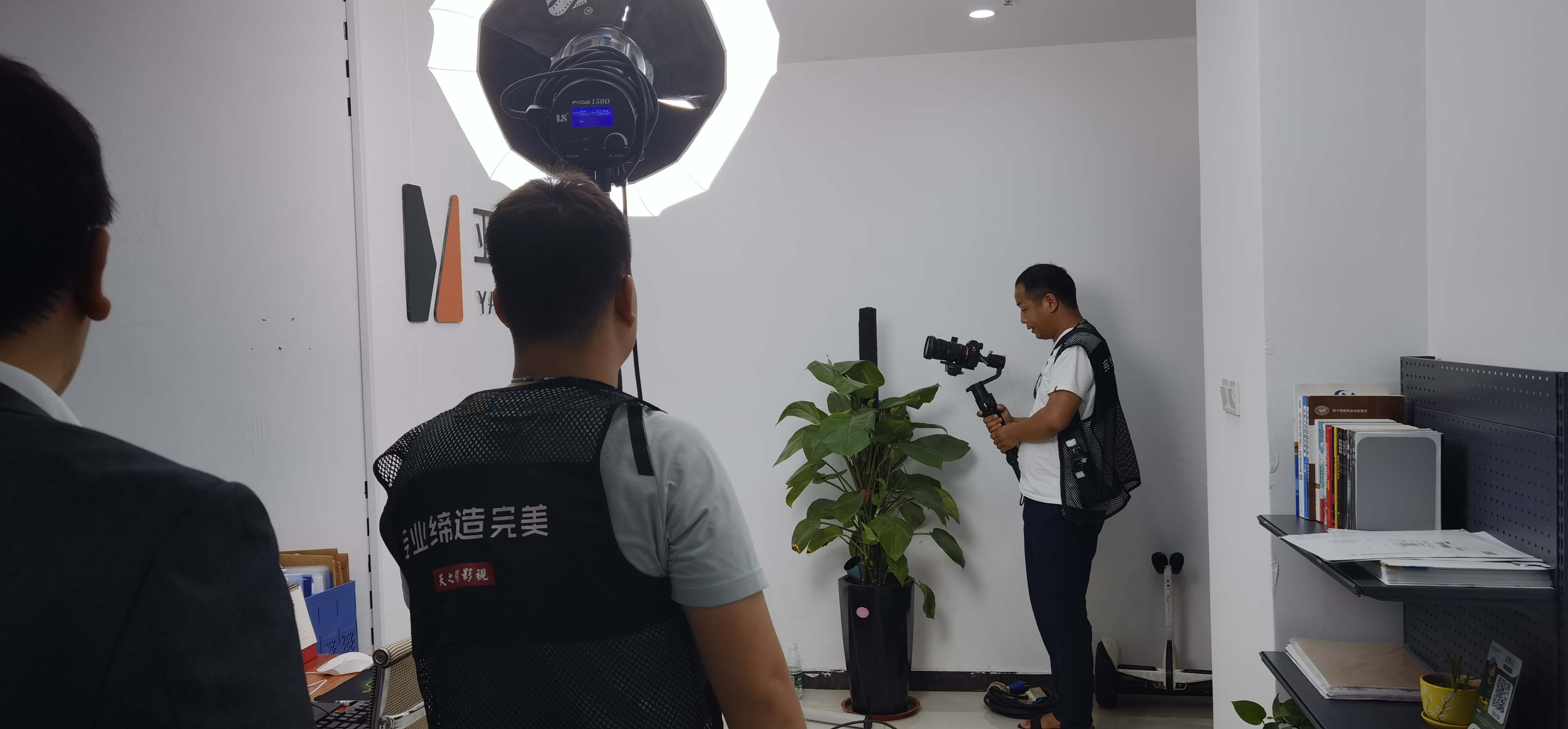 滚球买球的app官网