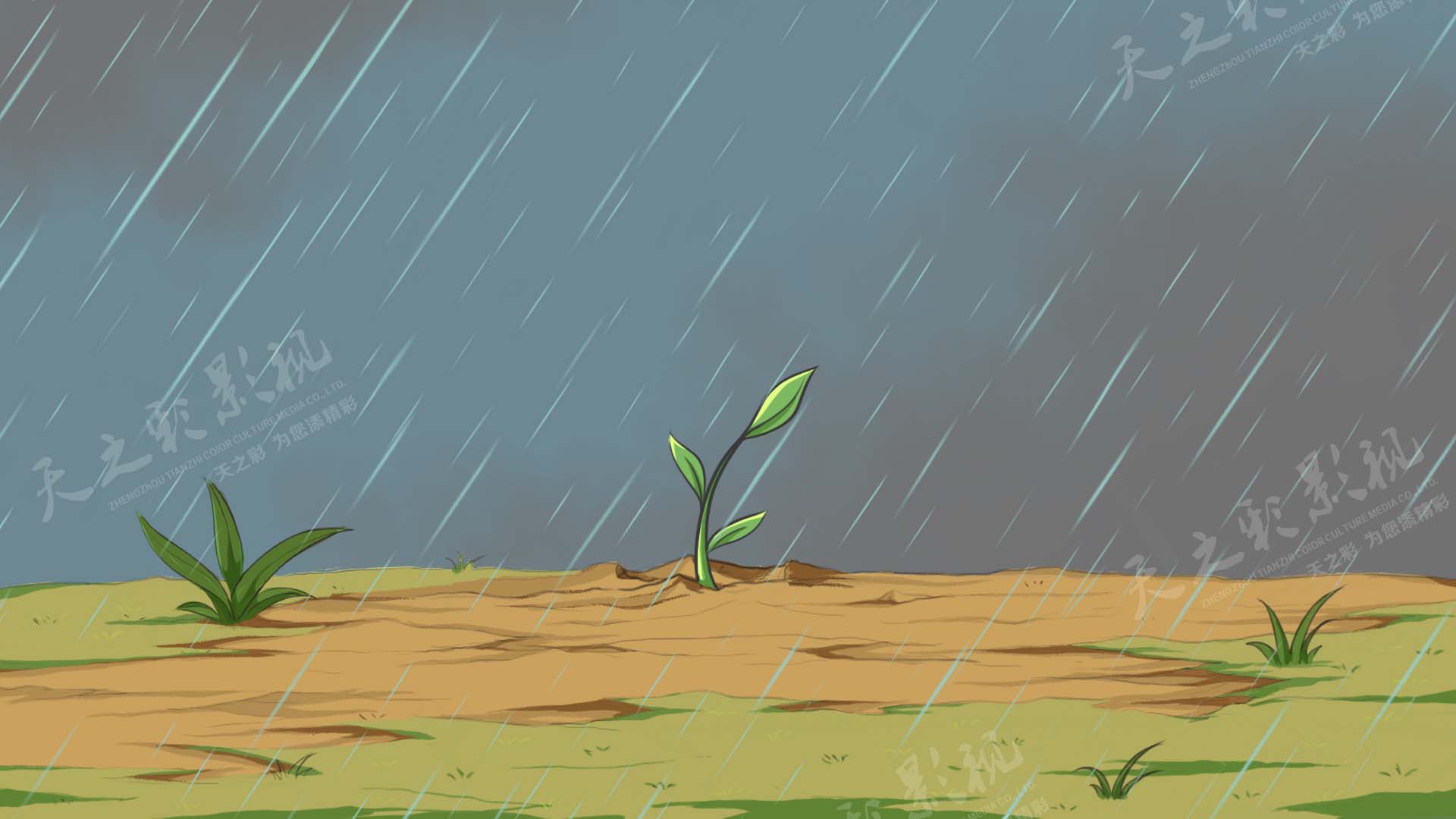 滚球买球的app官网