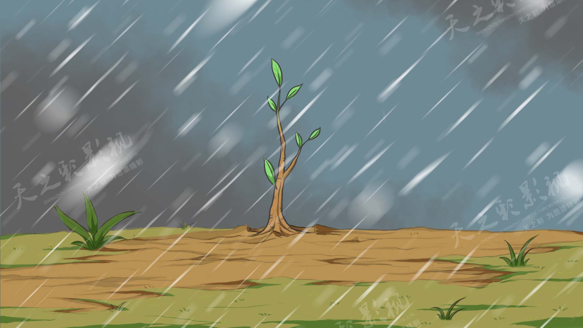 滚球买球的app官网