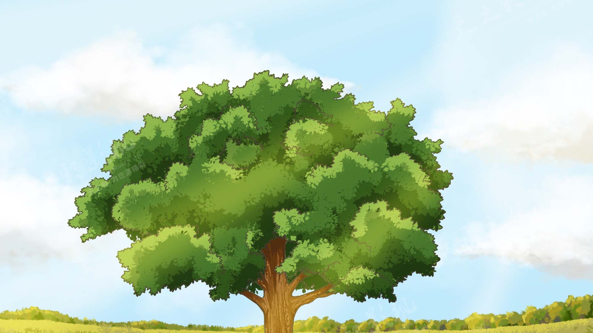 滚球买球的app官网