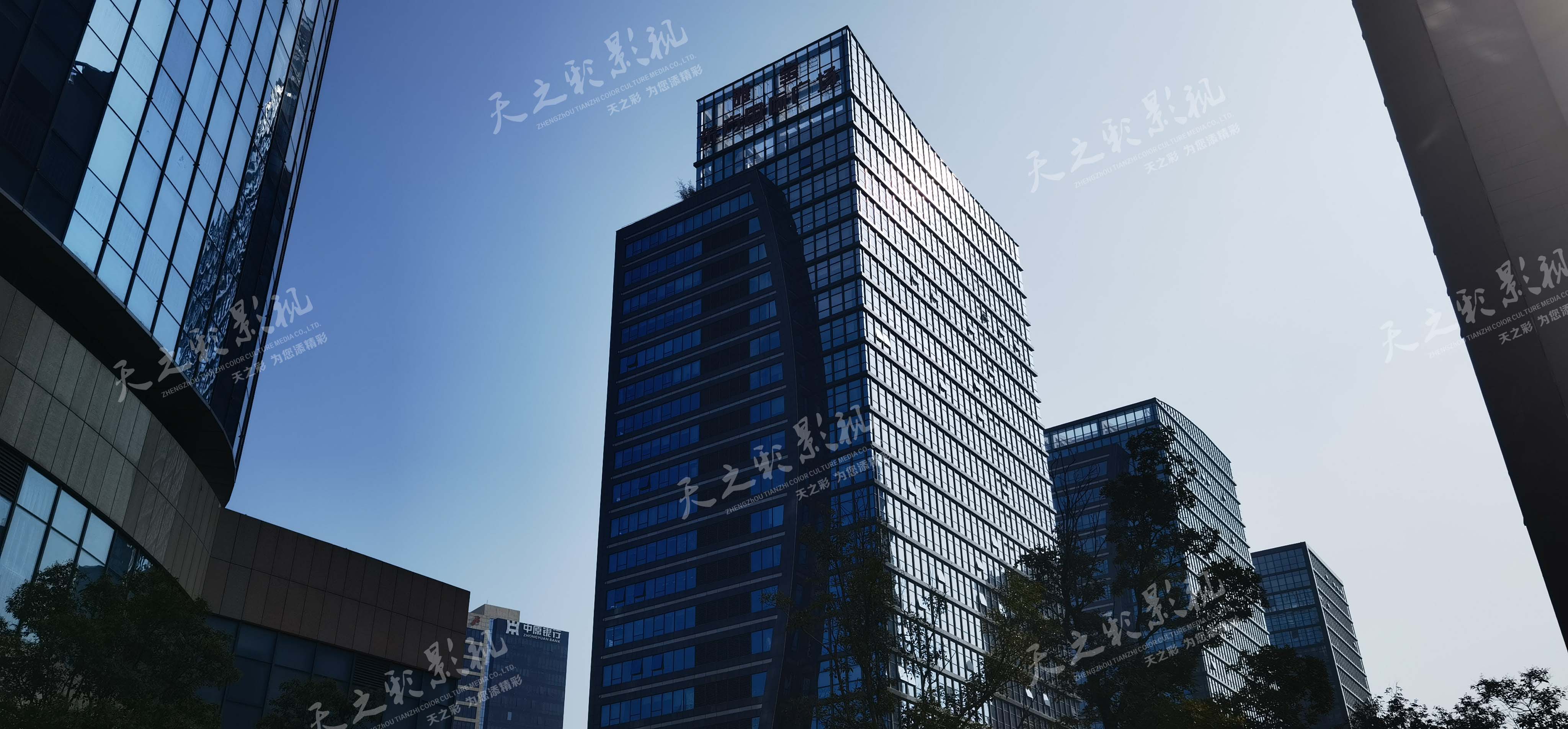 滚球买球的app官网