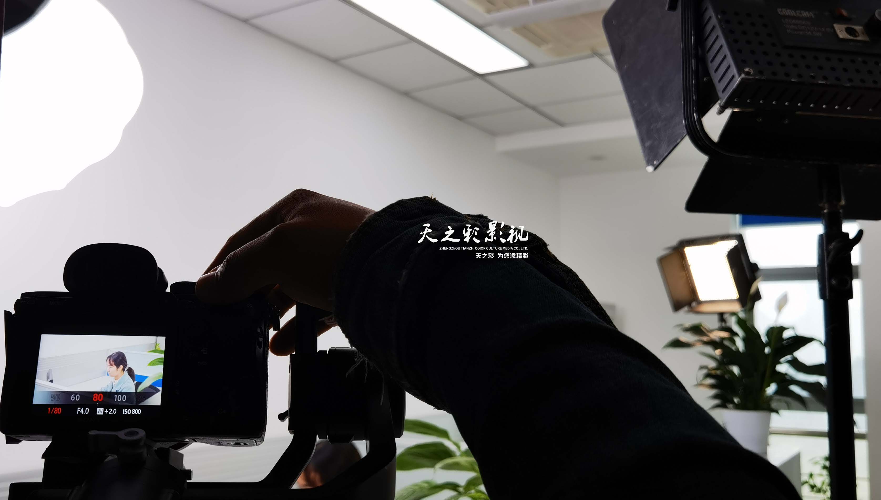 滚球买球的app官网