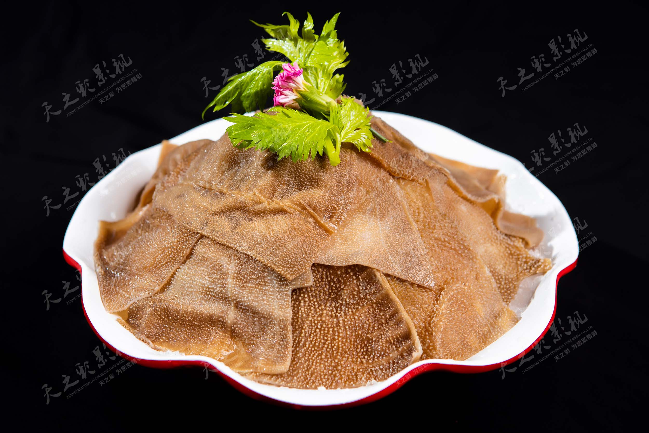 滚球买球的app官网