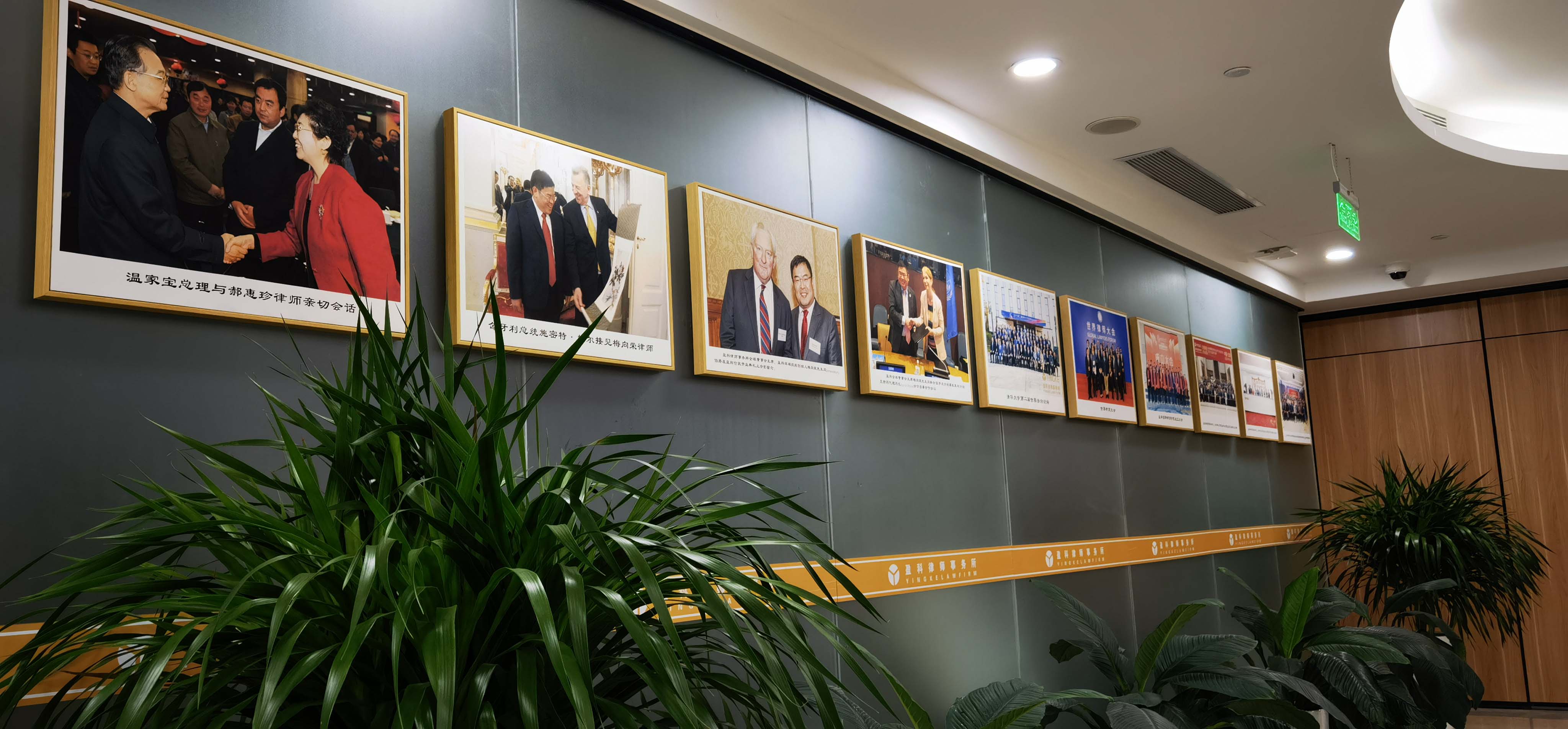 滚球买球的app官网