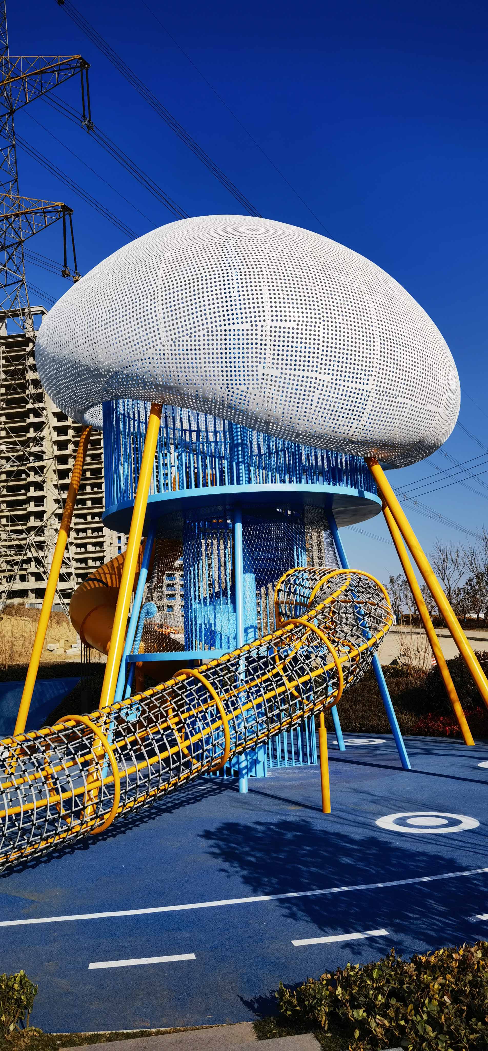 滚球买球的app官网