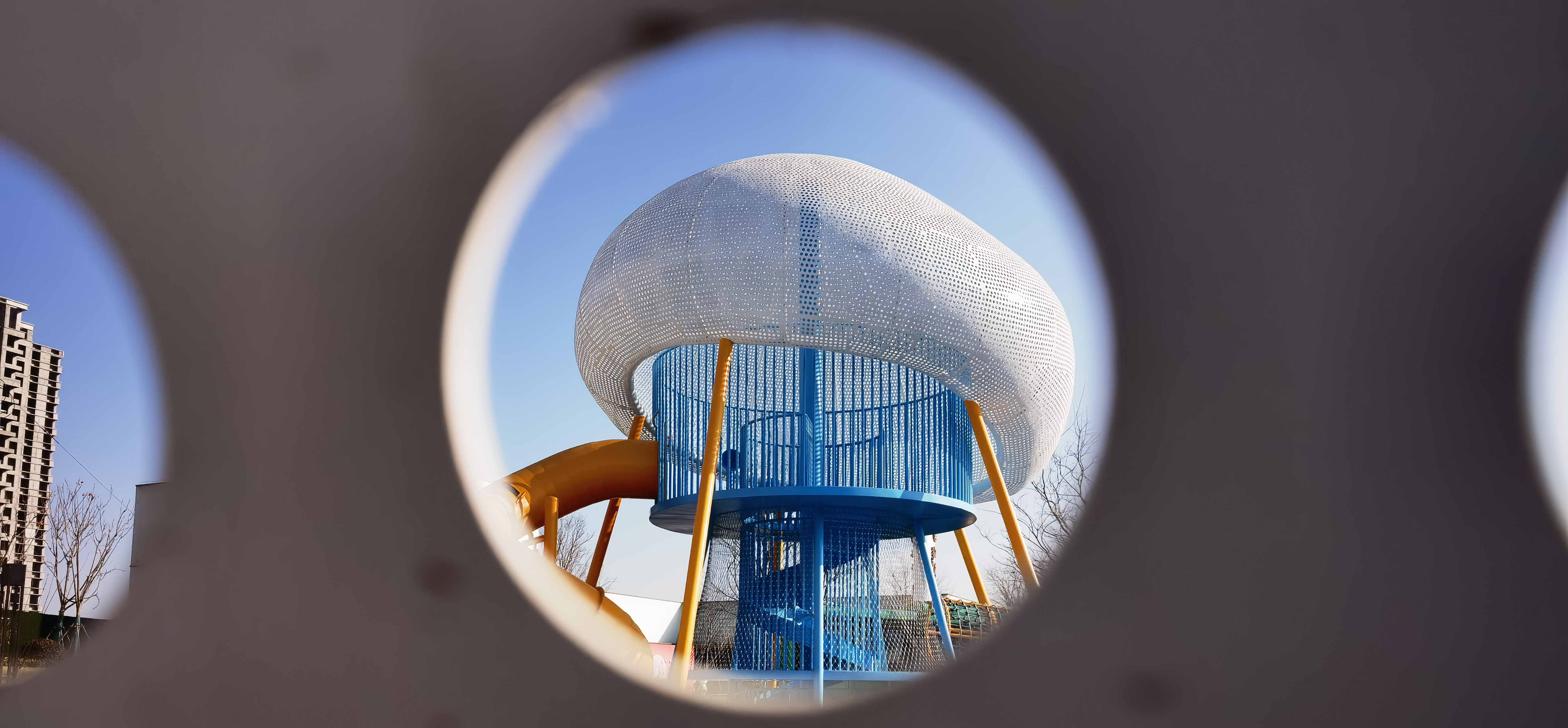 滚球买球的app官网