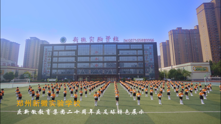 滚球买球的app官网