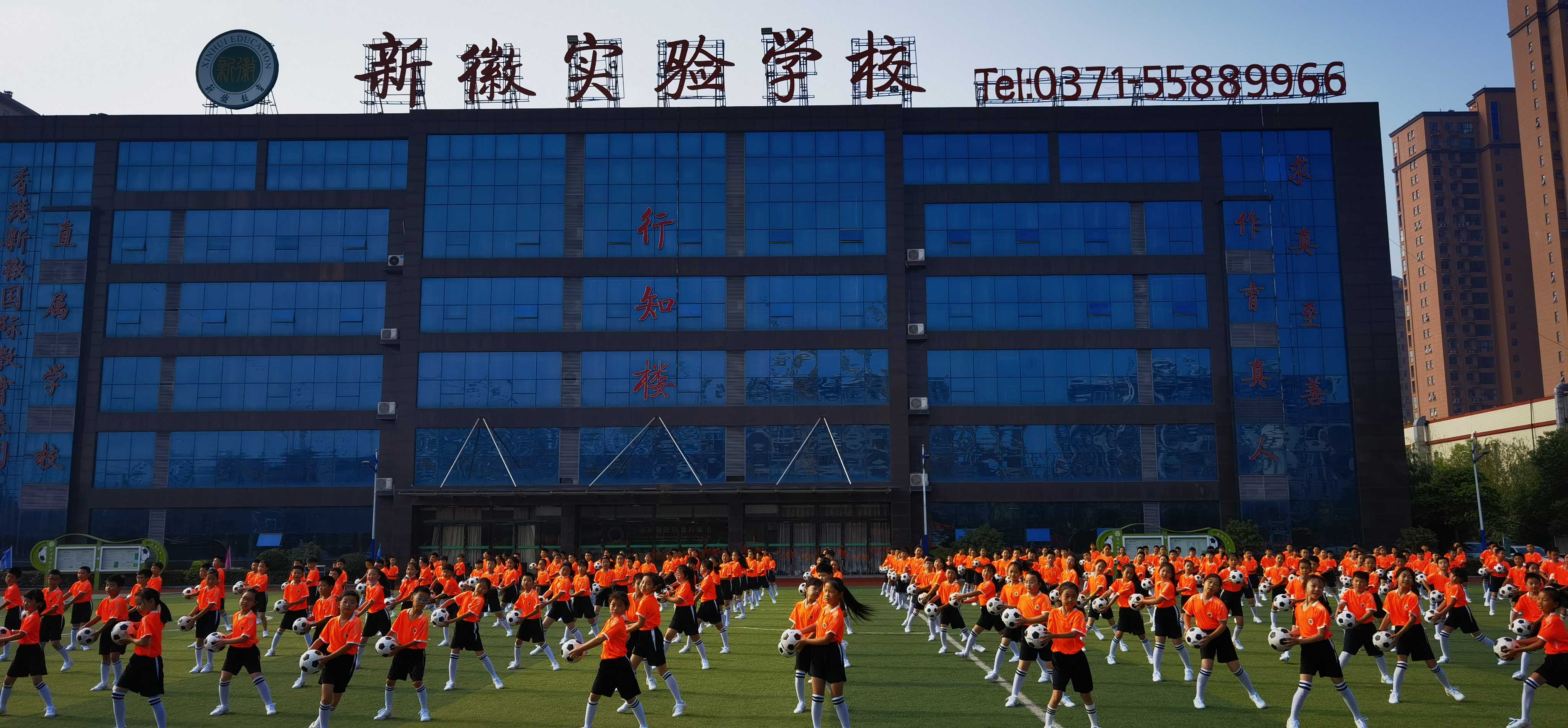 滚球买球的app官网