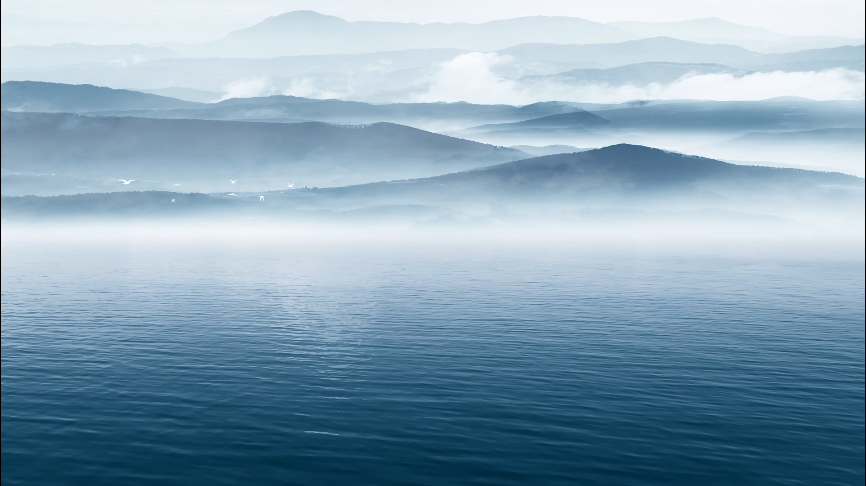 滚球买球的app官网