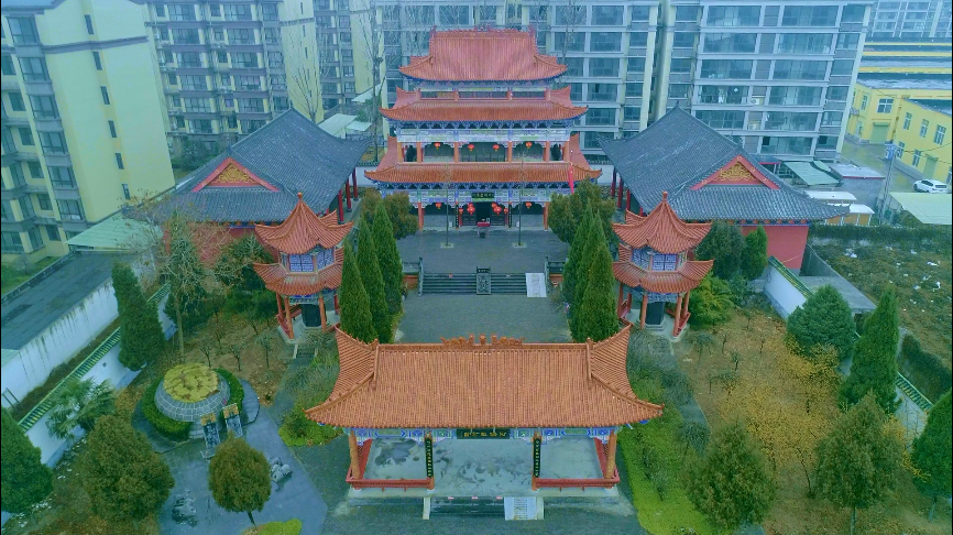 滚球买球的app官网