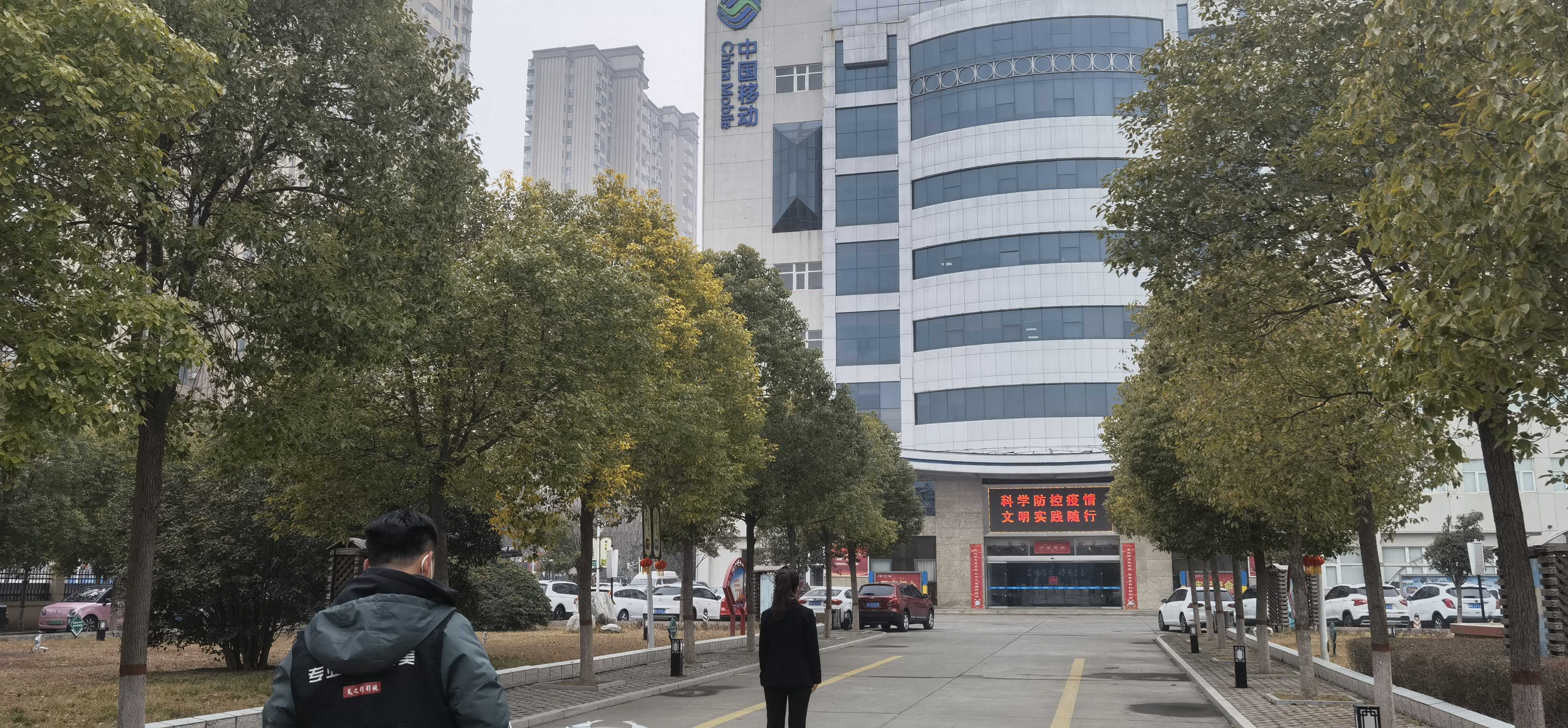 滚球买球的app官网