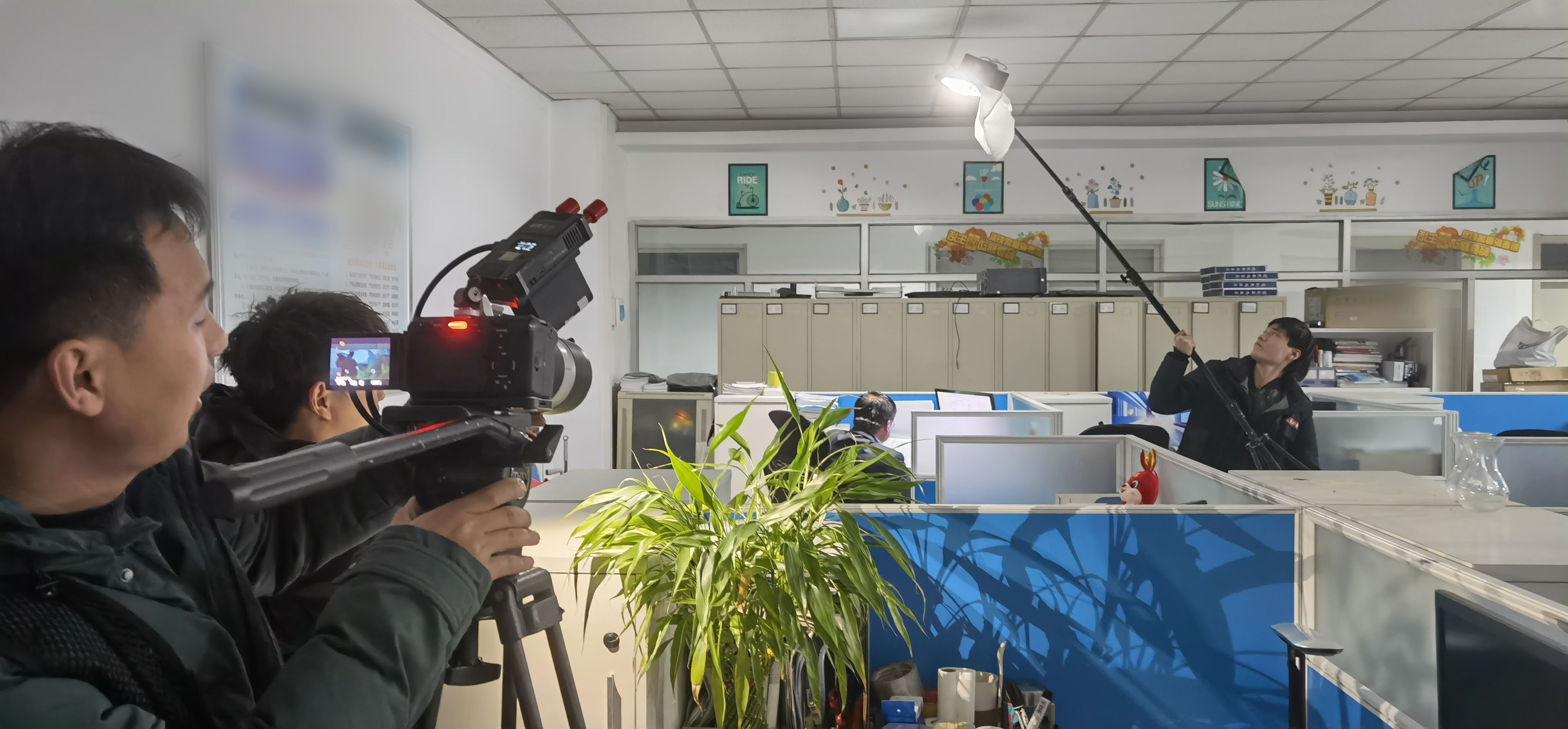 滚球买球的app官网