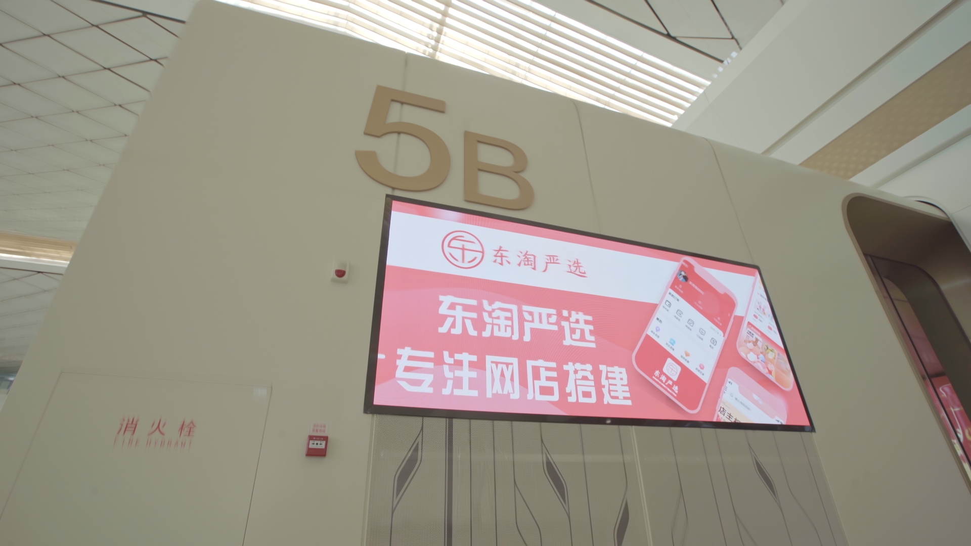 滚球买球的app官网