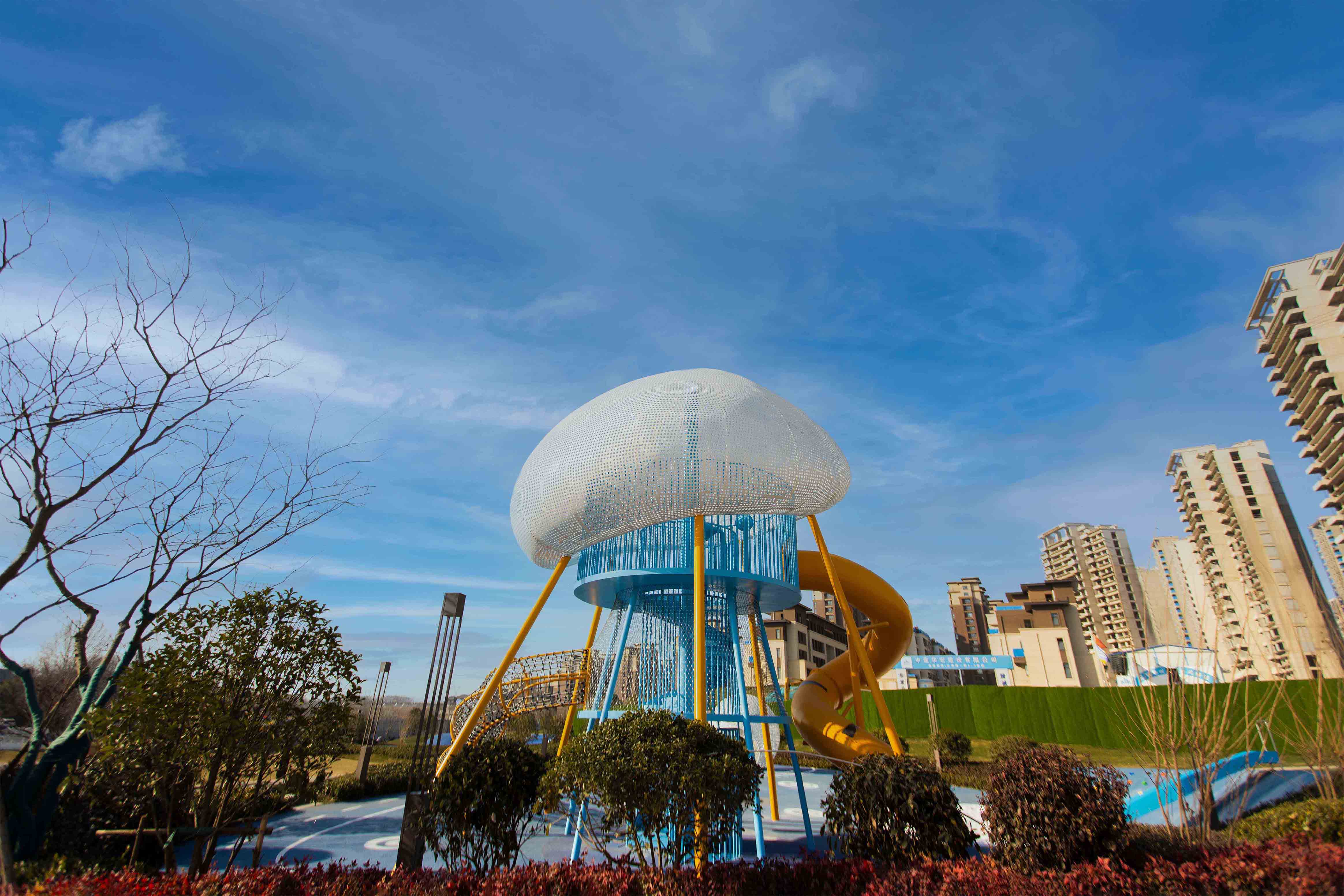 滚球买球的app官网