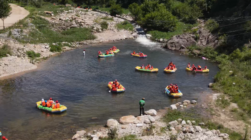滚球买球的app官网