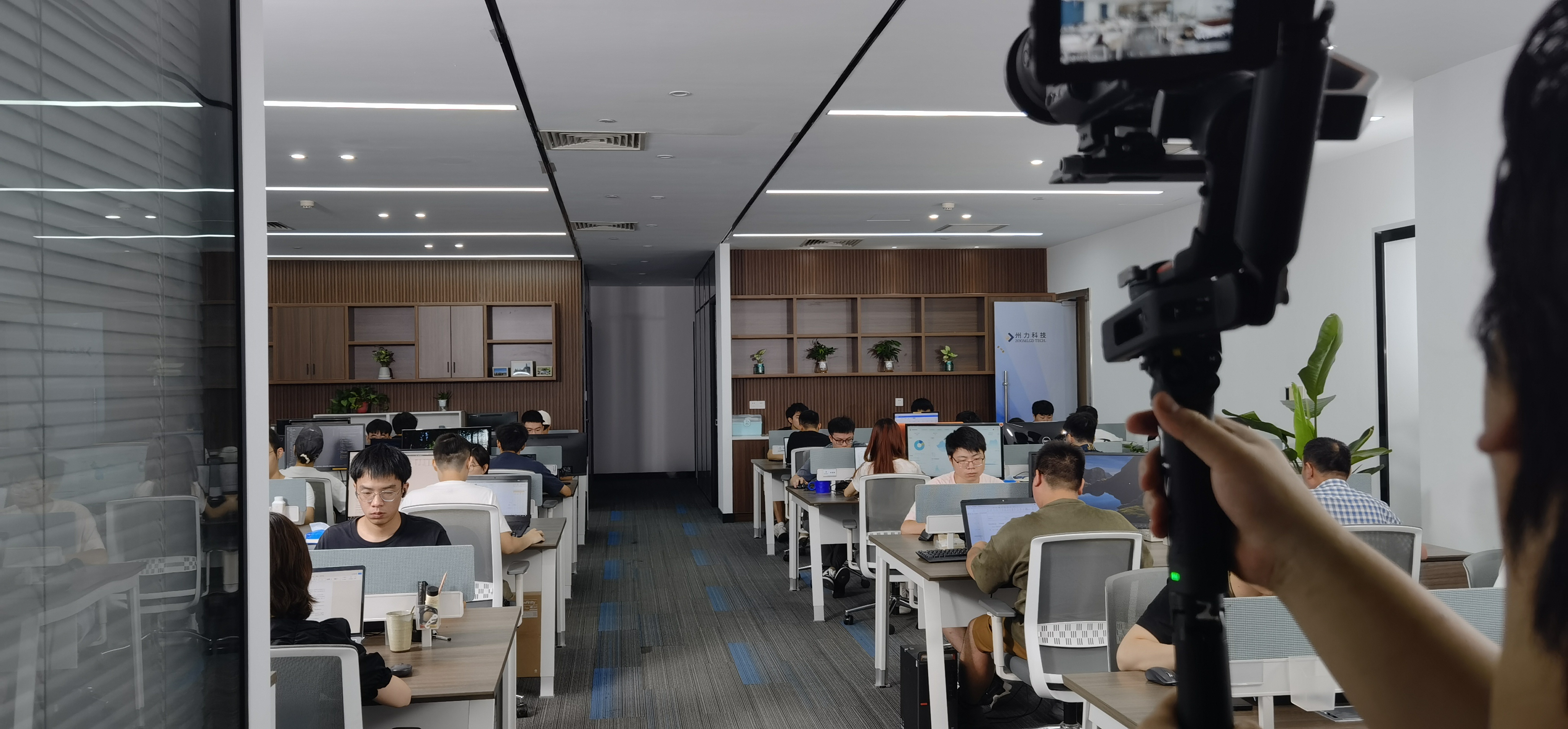 滚球买球的app官网