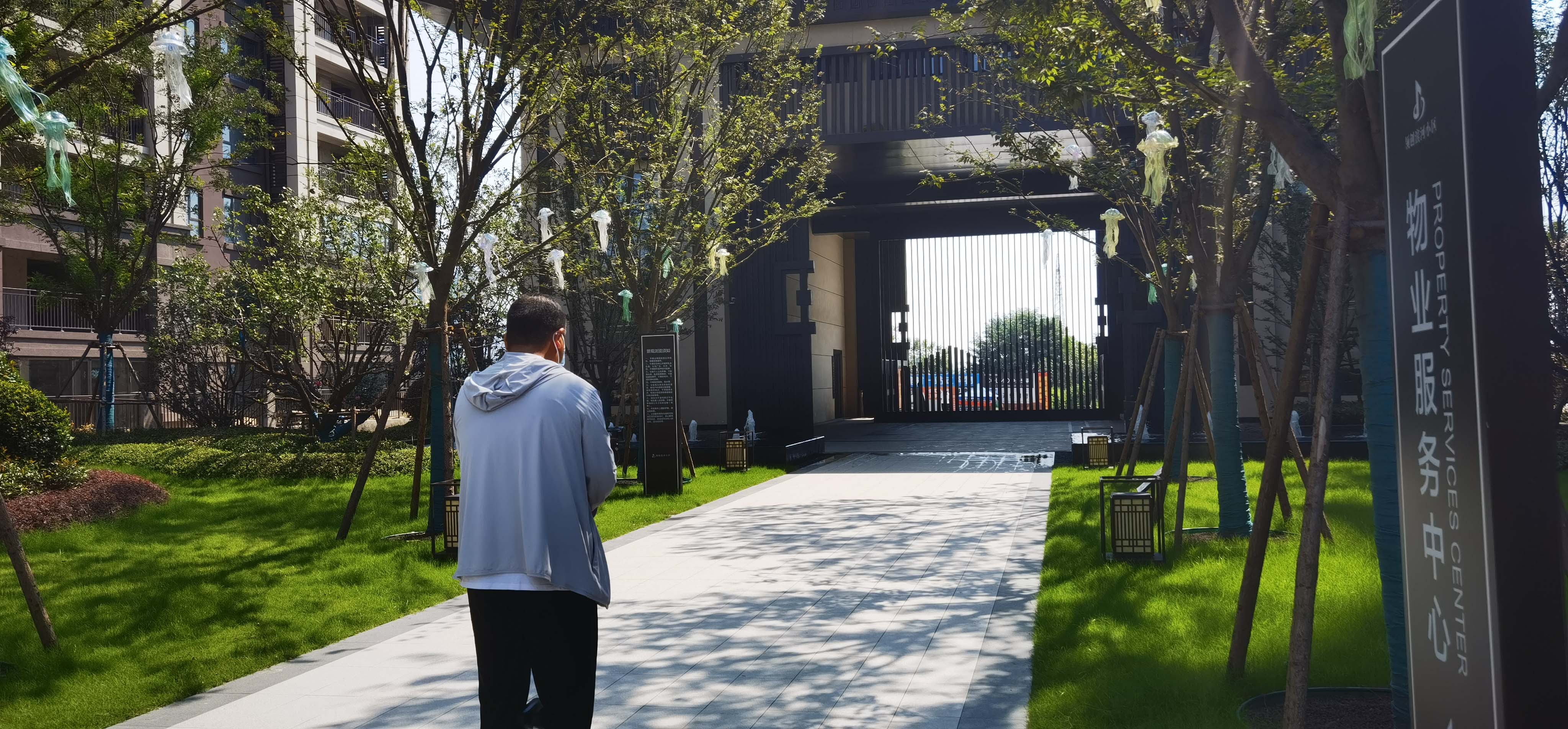 滚球买球的app官网