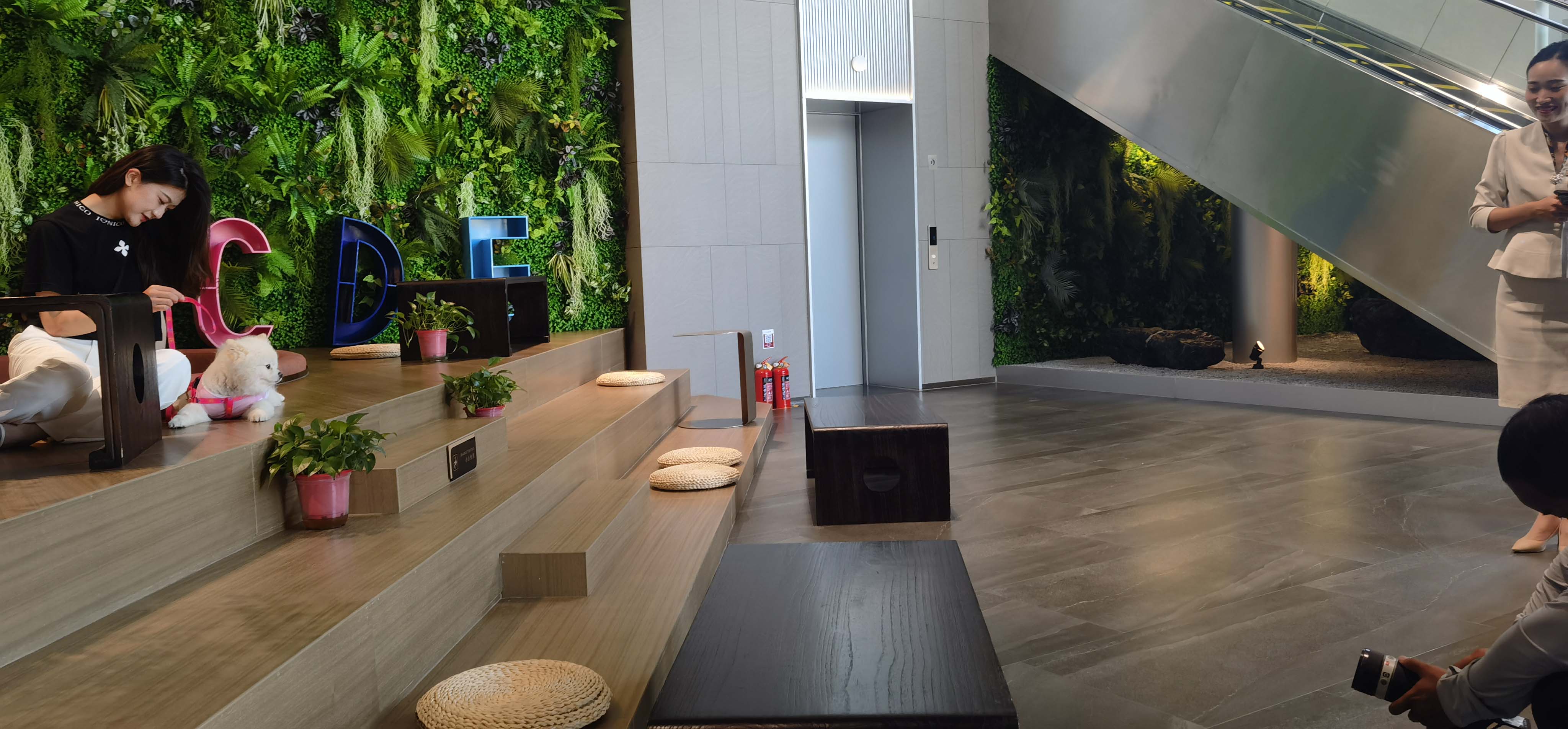 滚球买球的app官网