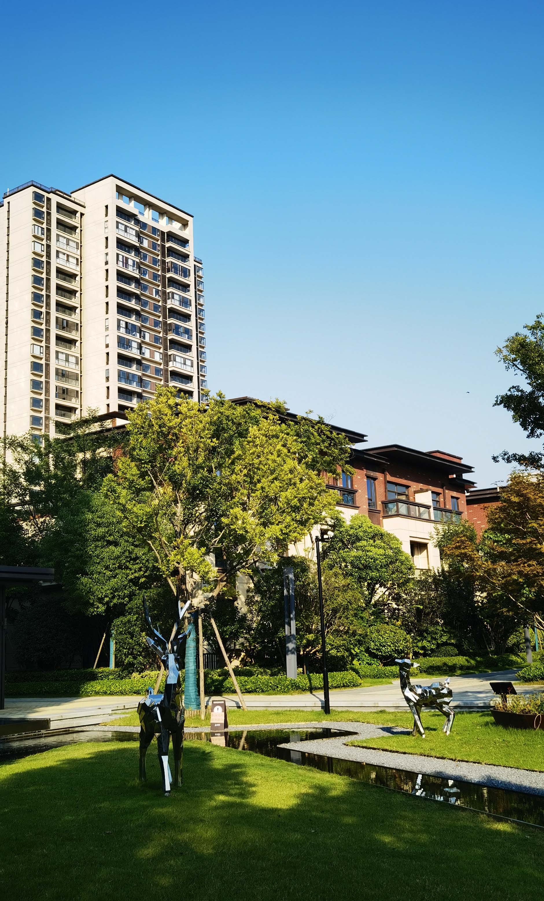 滚球买球的app官网