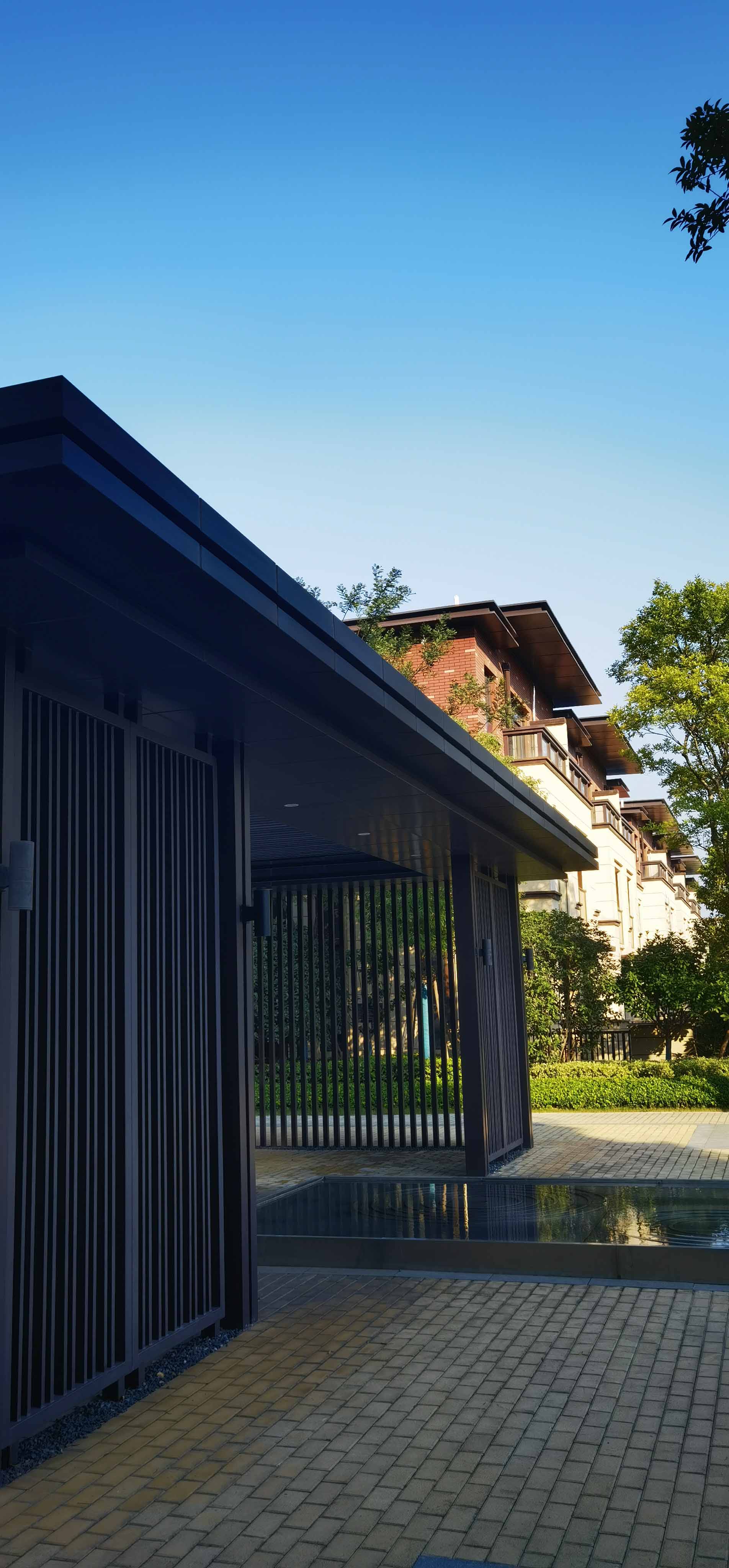 滚球买球的app官网